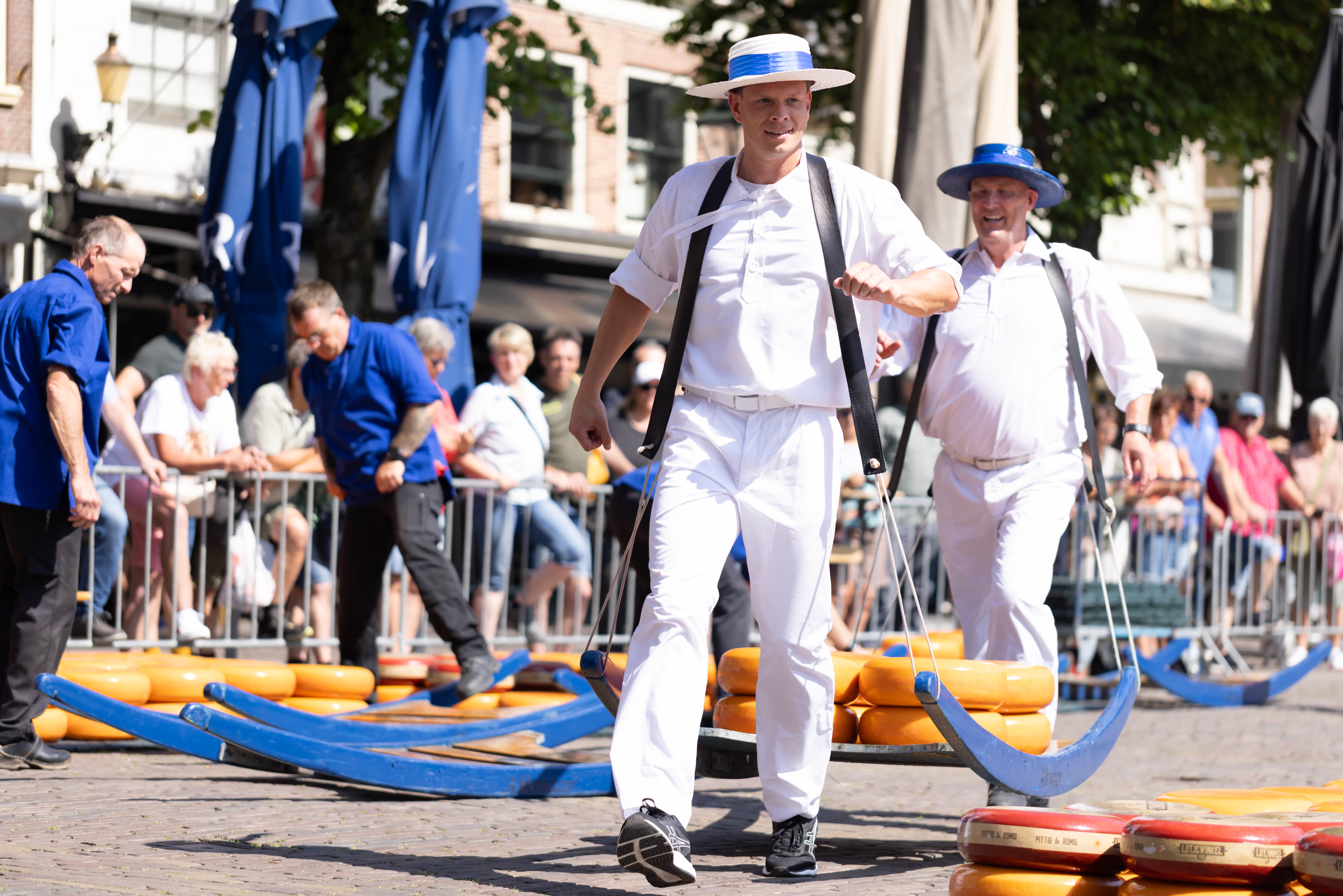 6月23日，人們在荷蘭阿爾克馬爾的奶酪市場運送奶酪。（新華社）