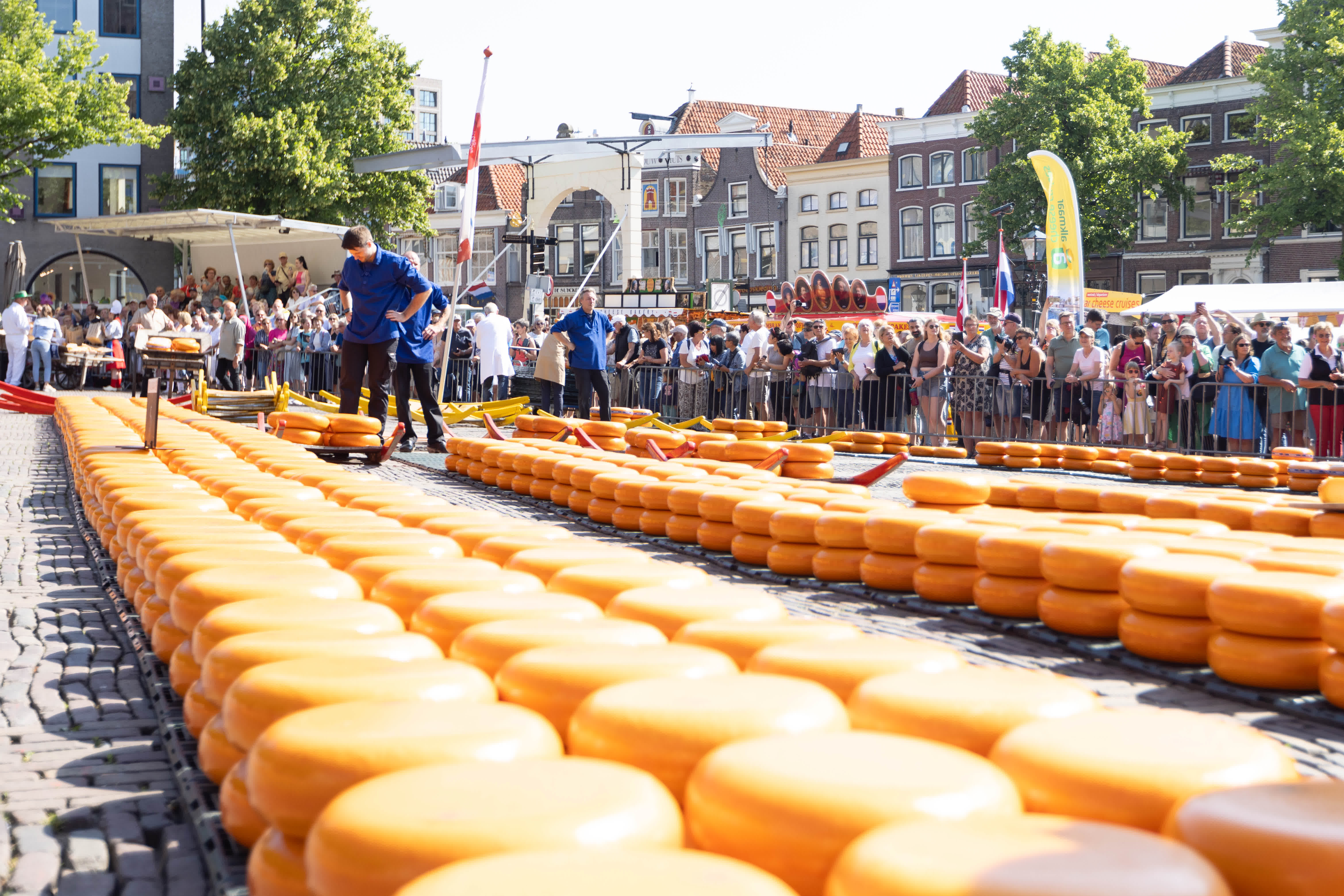 這是6月23日在荷蘭阿爾克馬爾的奶酪市場拍攝的奶酪。（新華社）