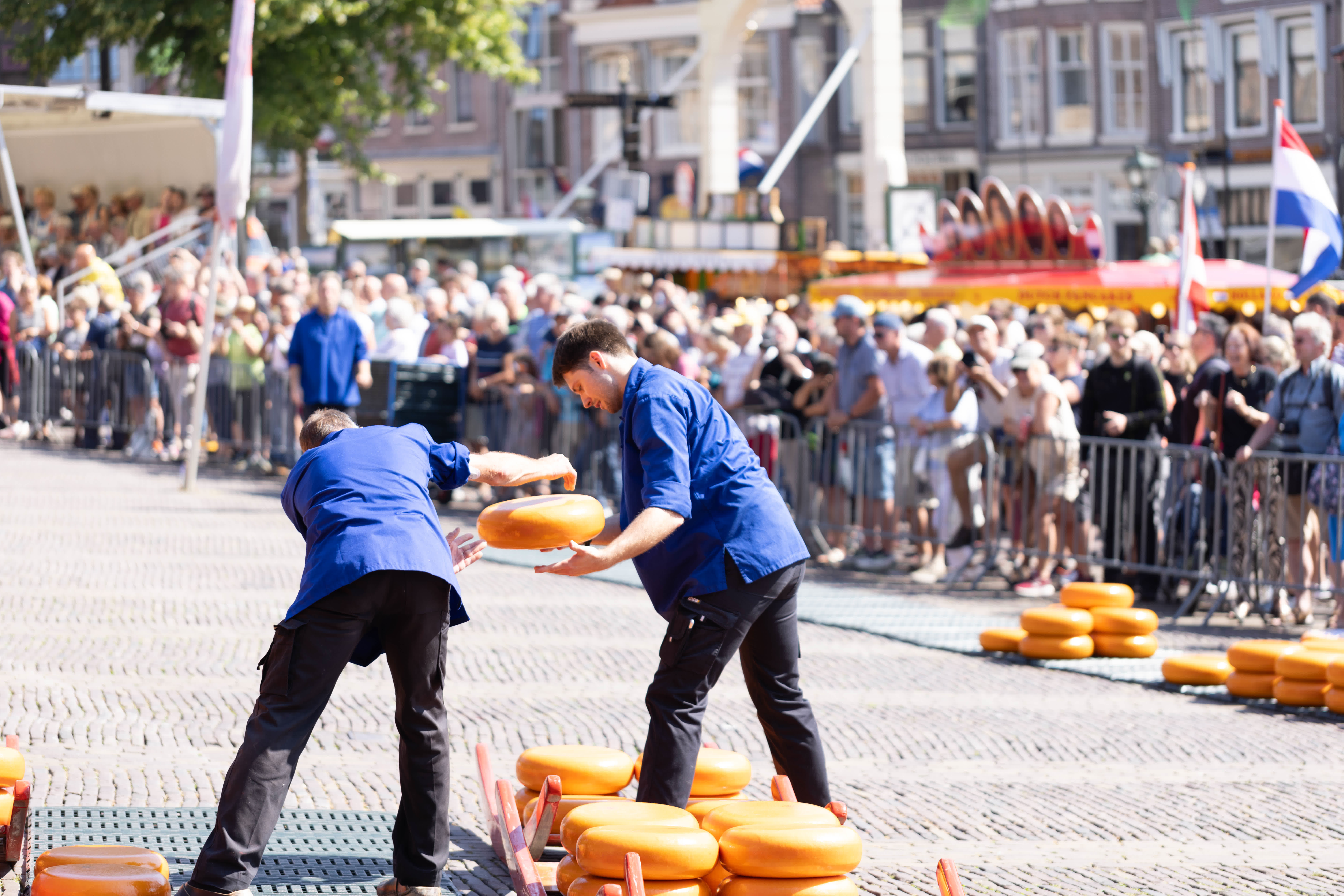 6月23日，人們在荷蘭阿爾克馬爾的奶酪市場運送奶酪。（新華社）