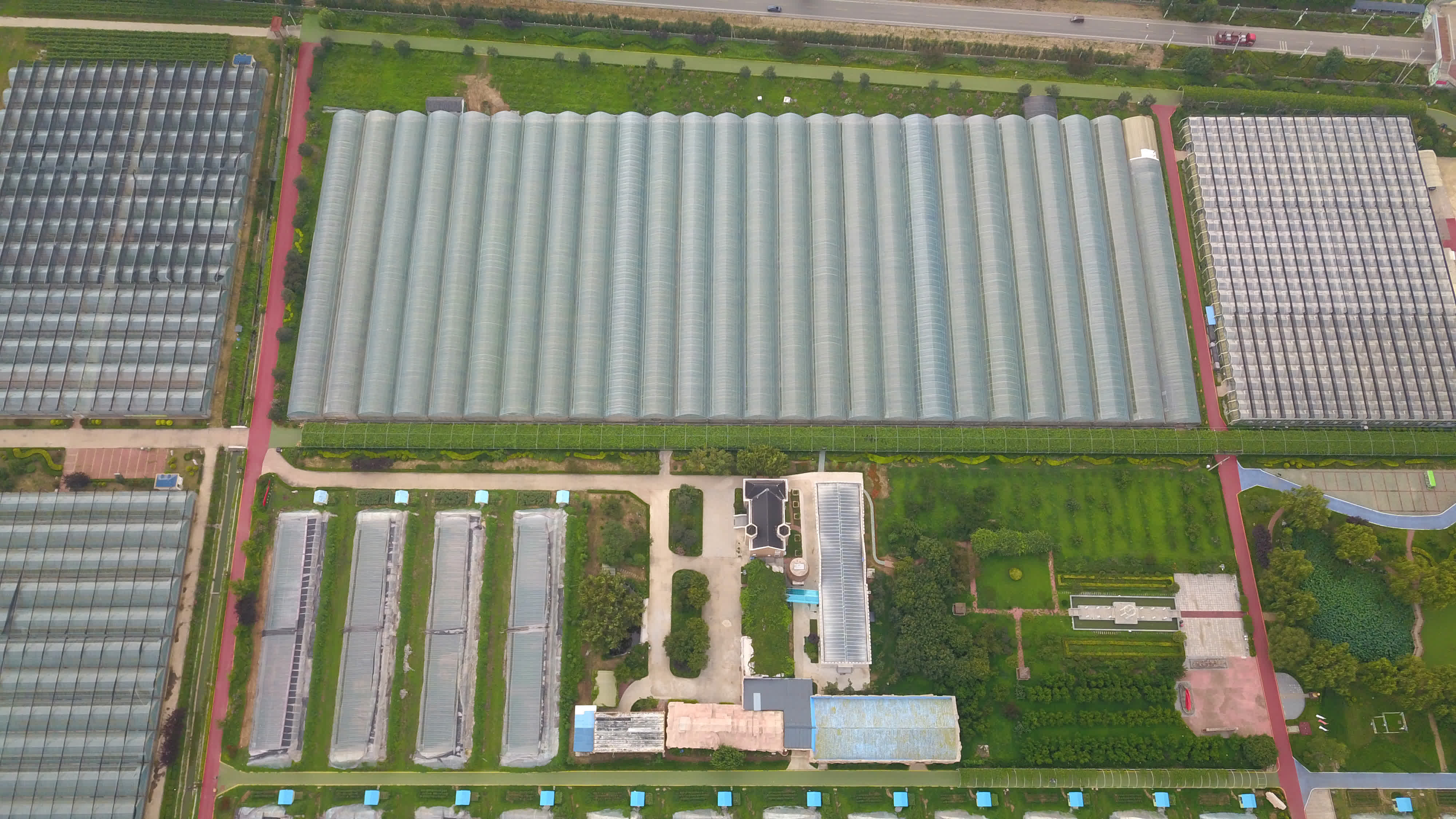 7月26日拍攝的位於山東省新泰市樓德鎮的高標準葡萄大棚（無人機照片）。（新華社）