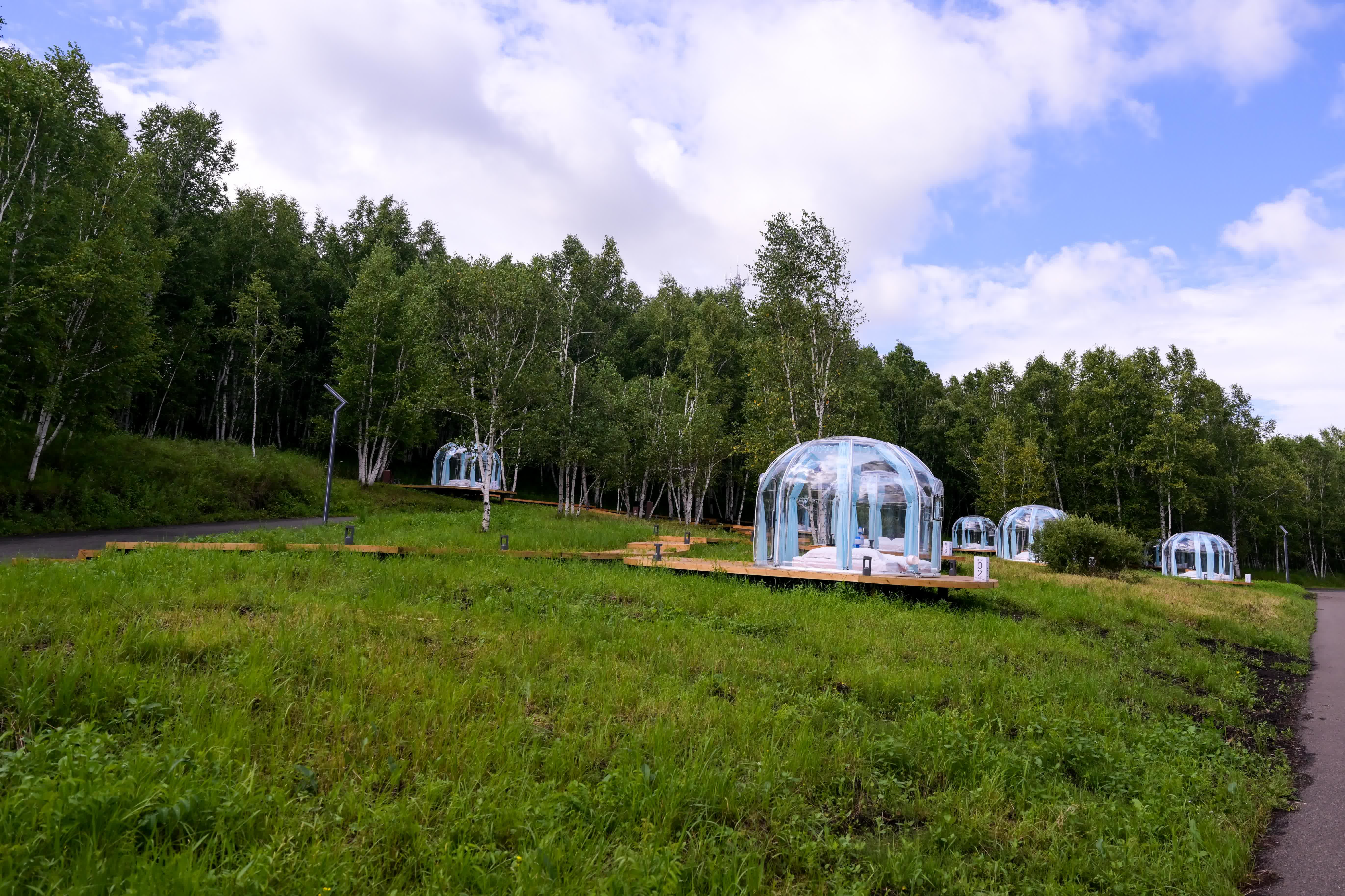 7月29日拍攝的牙克石市鳳凰山景區風光。（新華社）