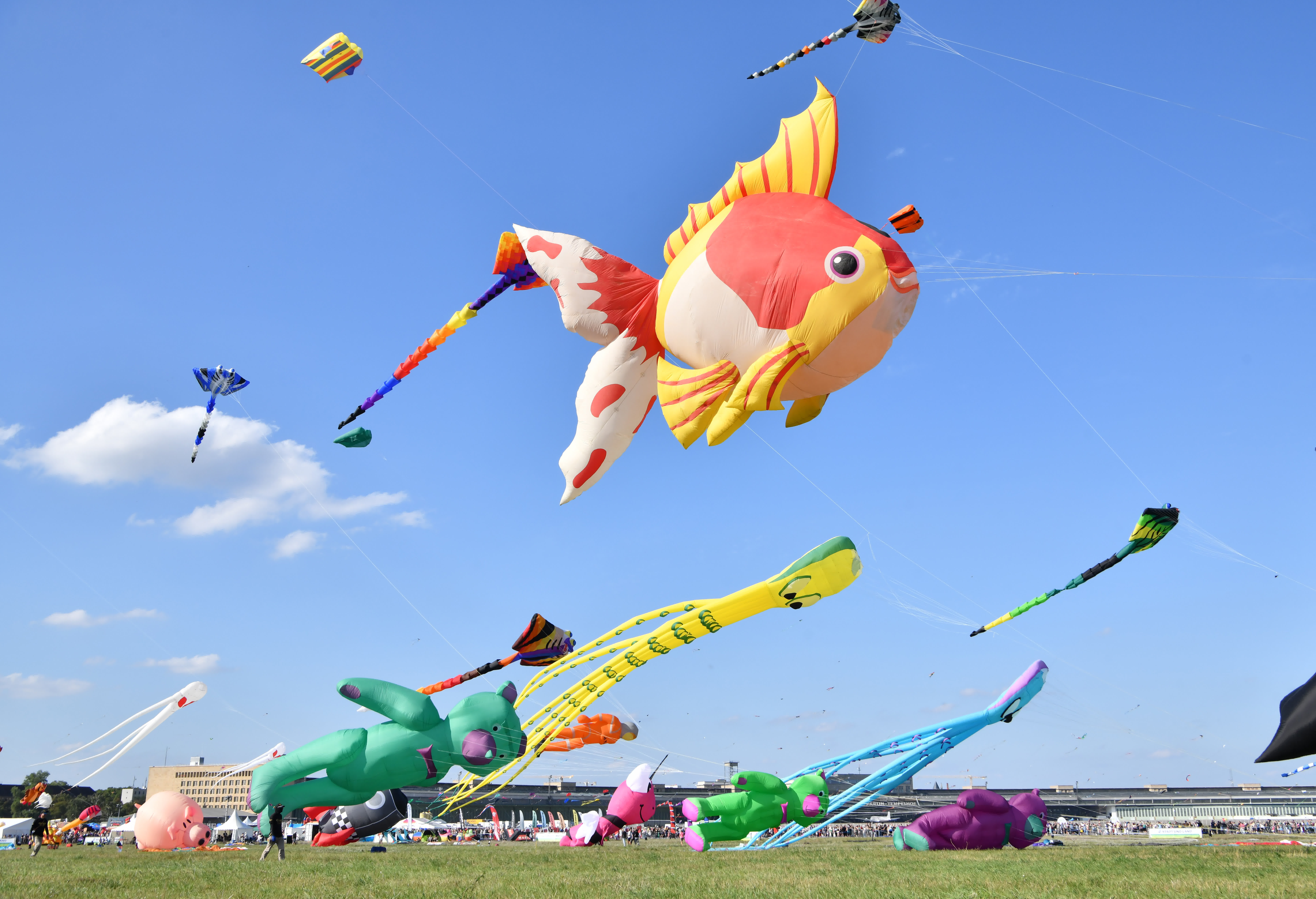 這是9月16日在德國柏林拍攝的各式風箏。（新華社）