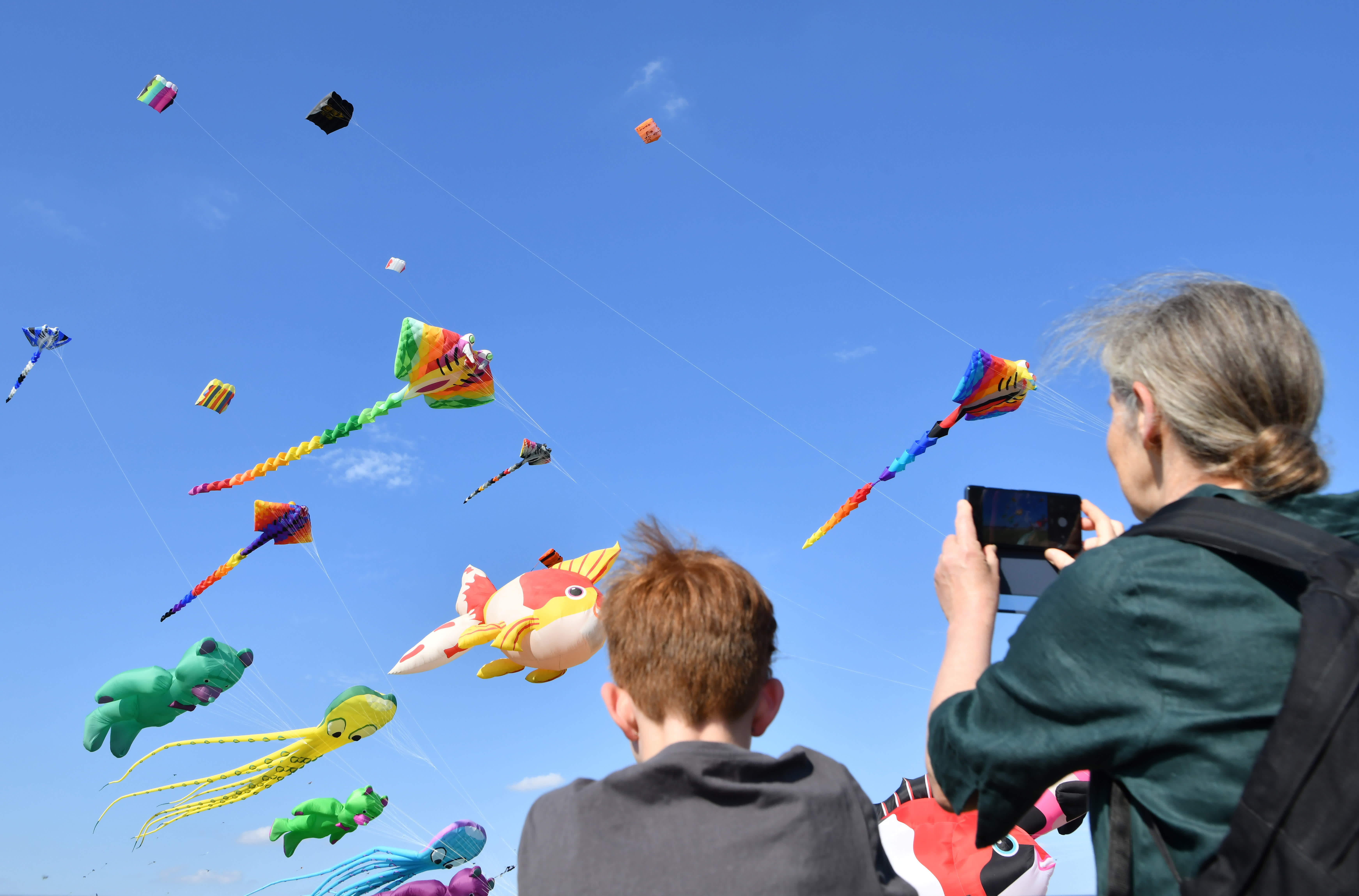 9月16日，在德國柏林，人們觀賞放飛的風箏。（新華社）