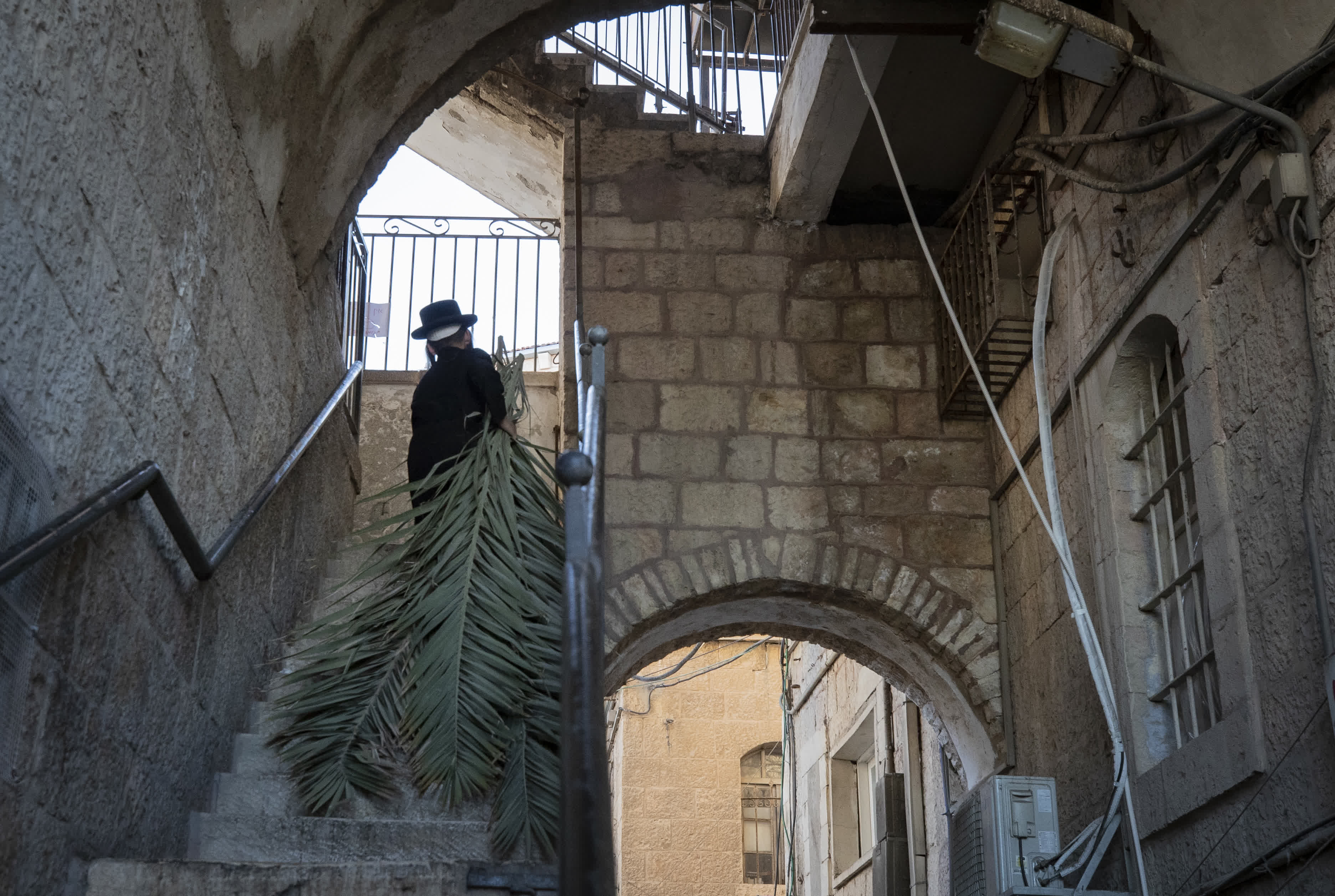 9月26日，猶太男孩在耶路撒冷一社區搬運搭建臨時棚屋的樹枝。（新華社）