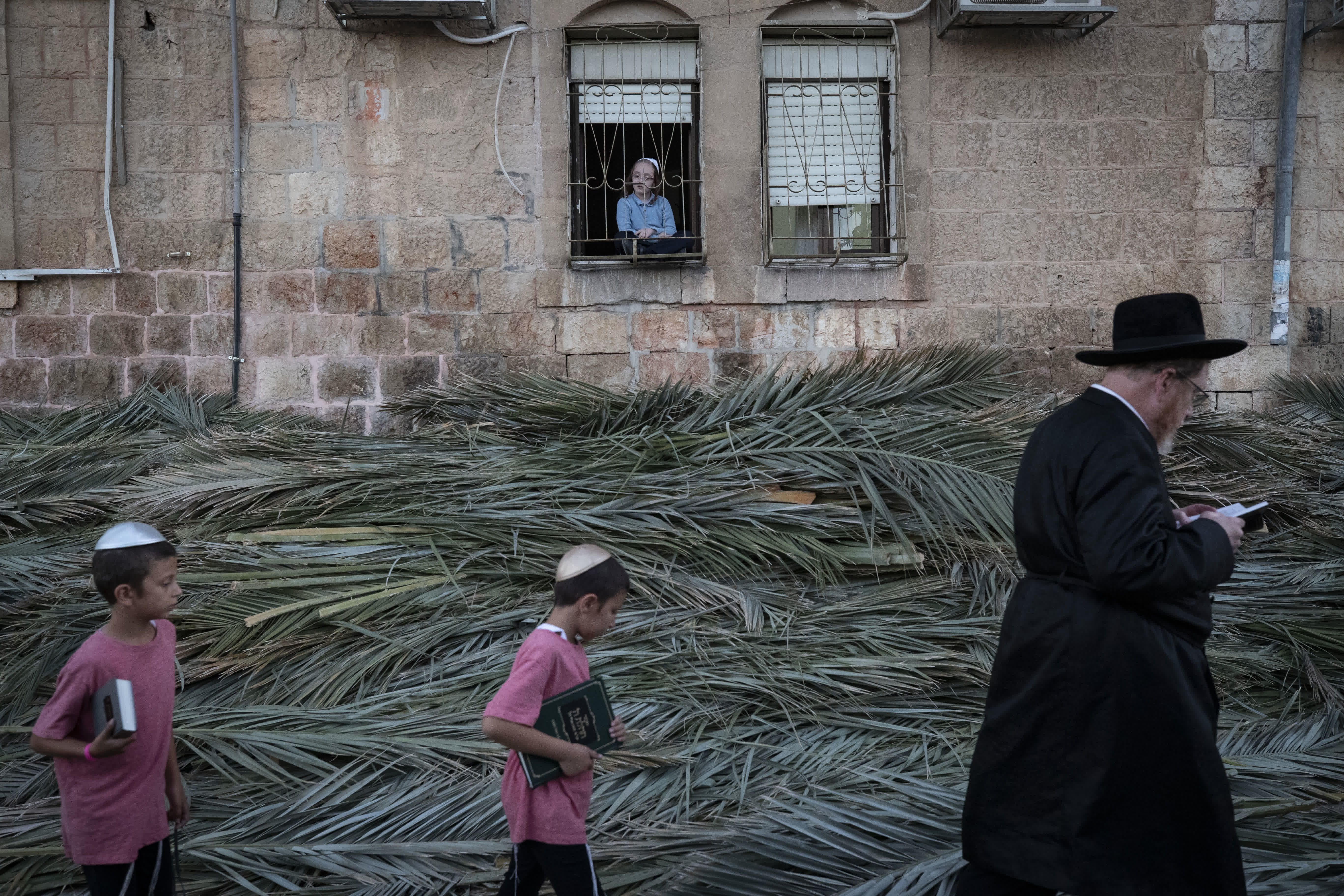 這是9月26日在耶路撒冷一社區拍攝的搭建臨時棚屋所用的的樹枝。（新華社）
