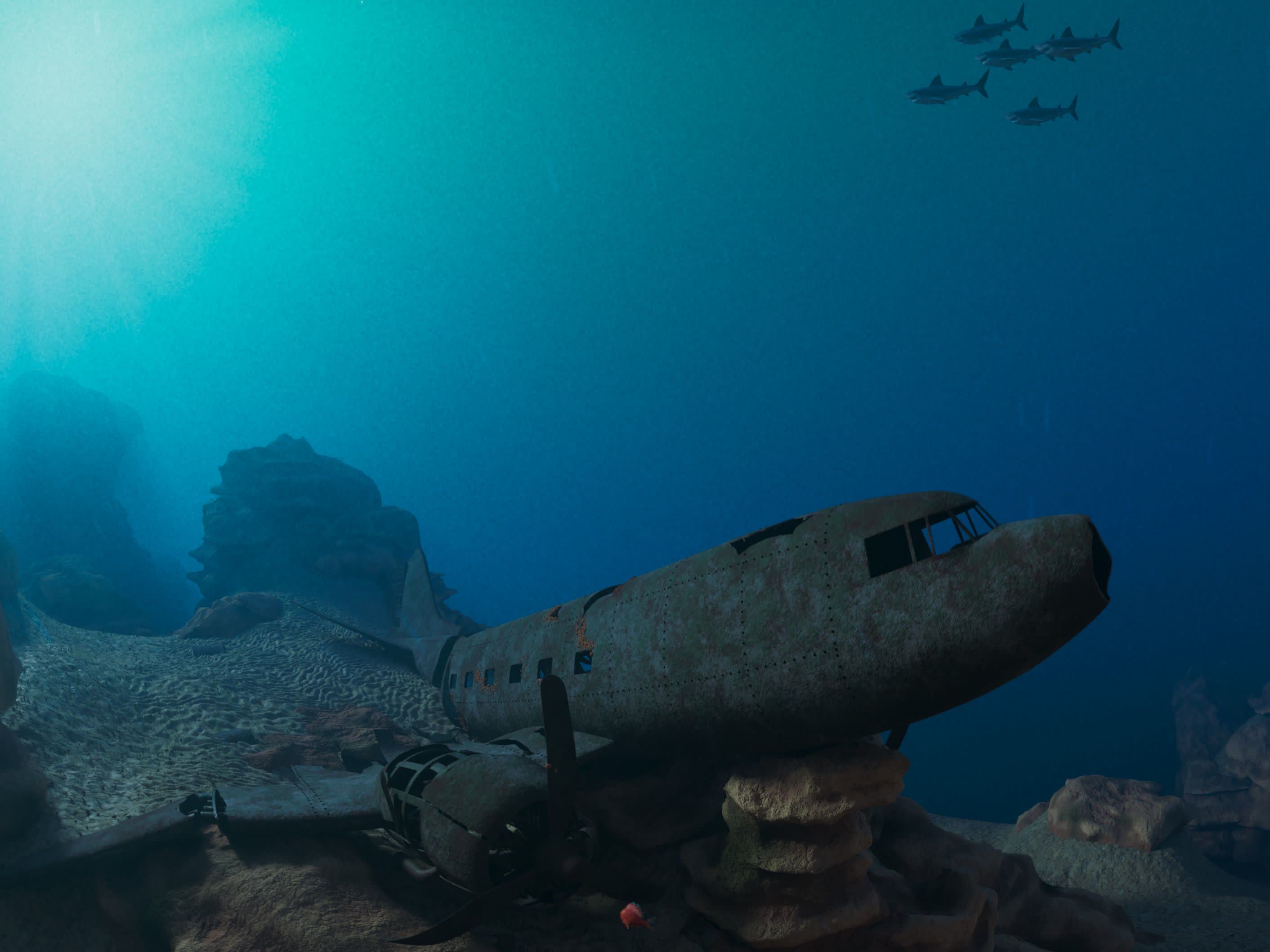 圖示一架沉入海底成為海洋生物避難所的飛機殘骸。（圖片來源：SOFTMACHINE）