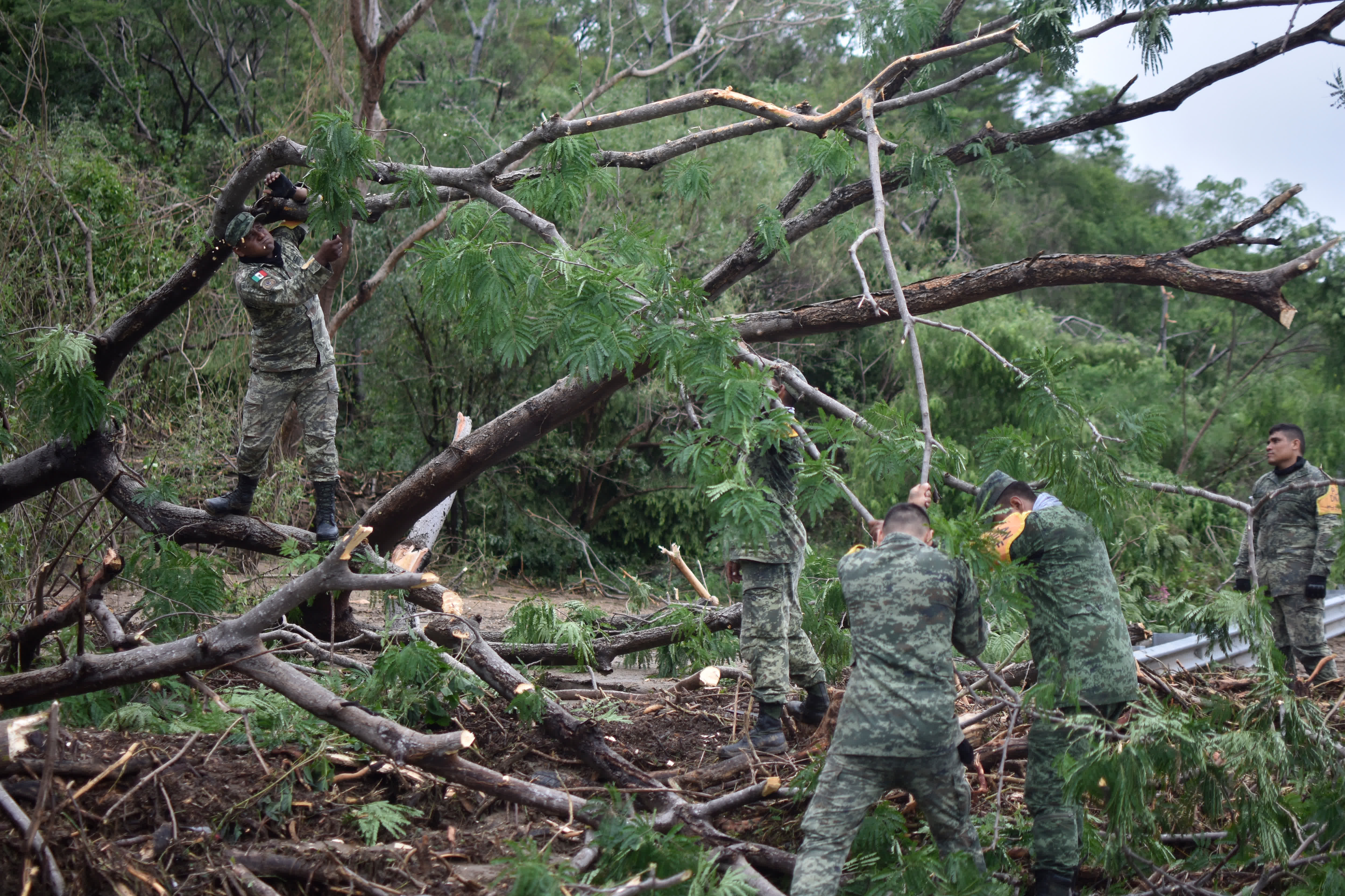 10月25日，在墨西哥格雷羅州奇爾潘辛戈市，軍人清理因颶風「奧蒂斯」過境而堵塞的道路。（新華社）