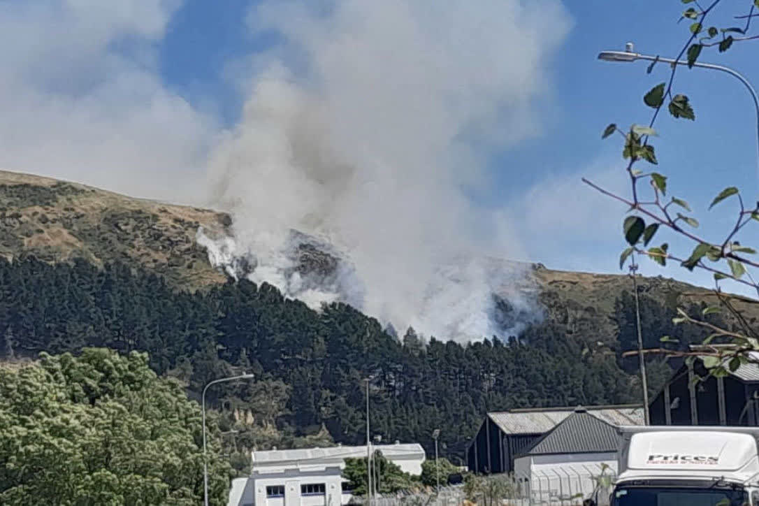 新西蘭南島至少数市临近山地發生森林火災