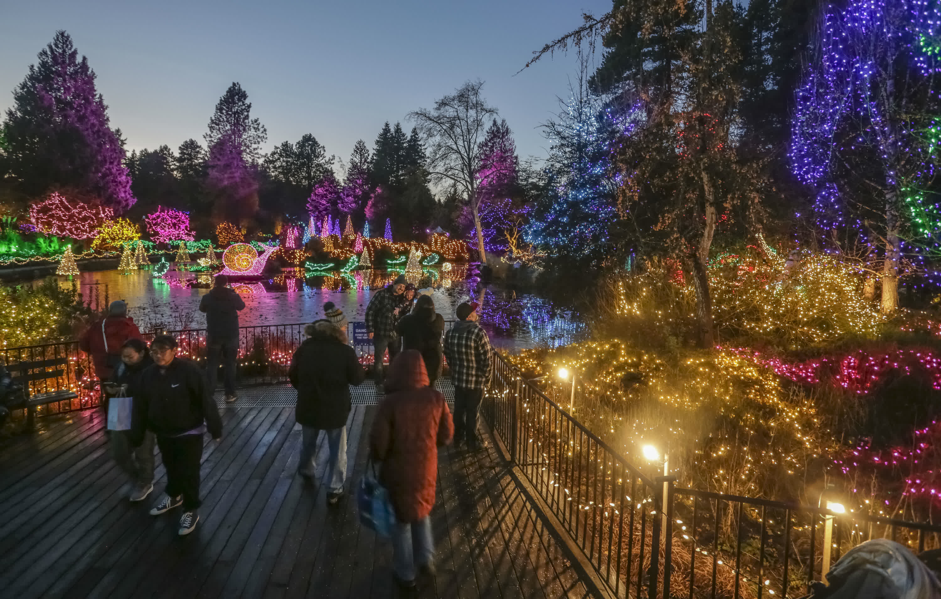 11月24日，在加拿大溫哥華，人們在范度森植物園觀看燈飾裝置。（新華社）