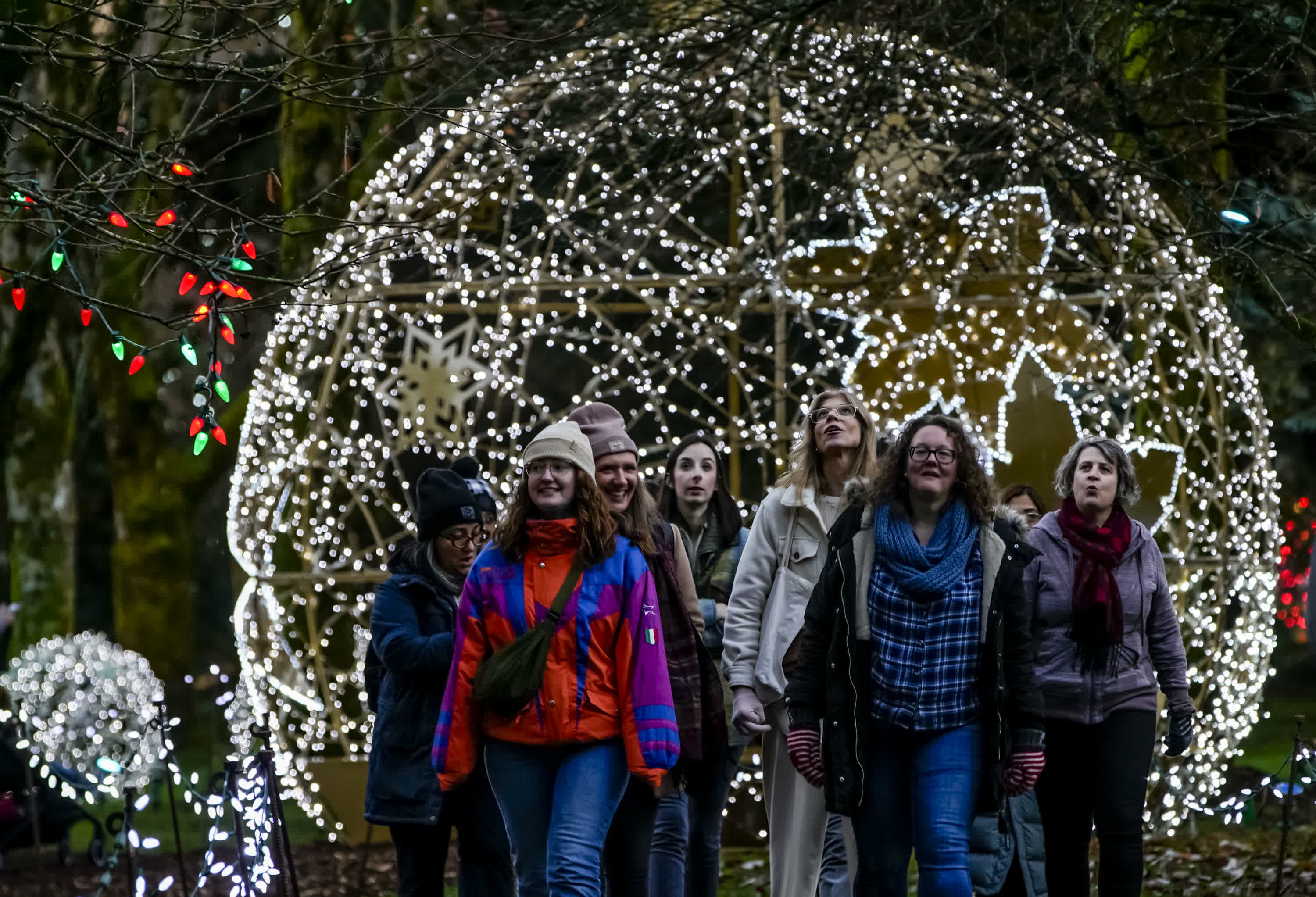 11月24日，在加拿大溫哥華，人們在范度森植物園觀看燈飾裝置。（新華社）