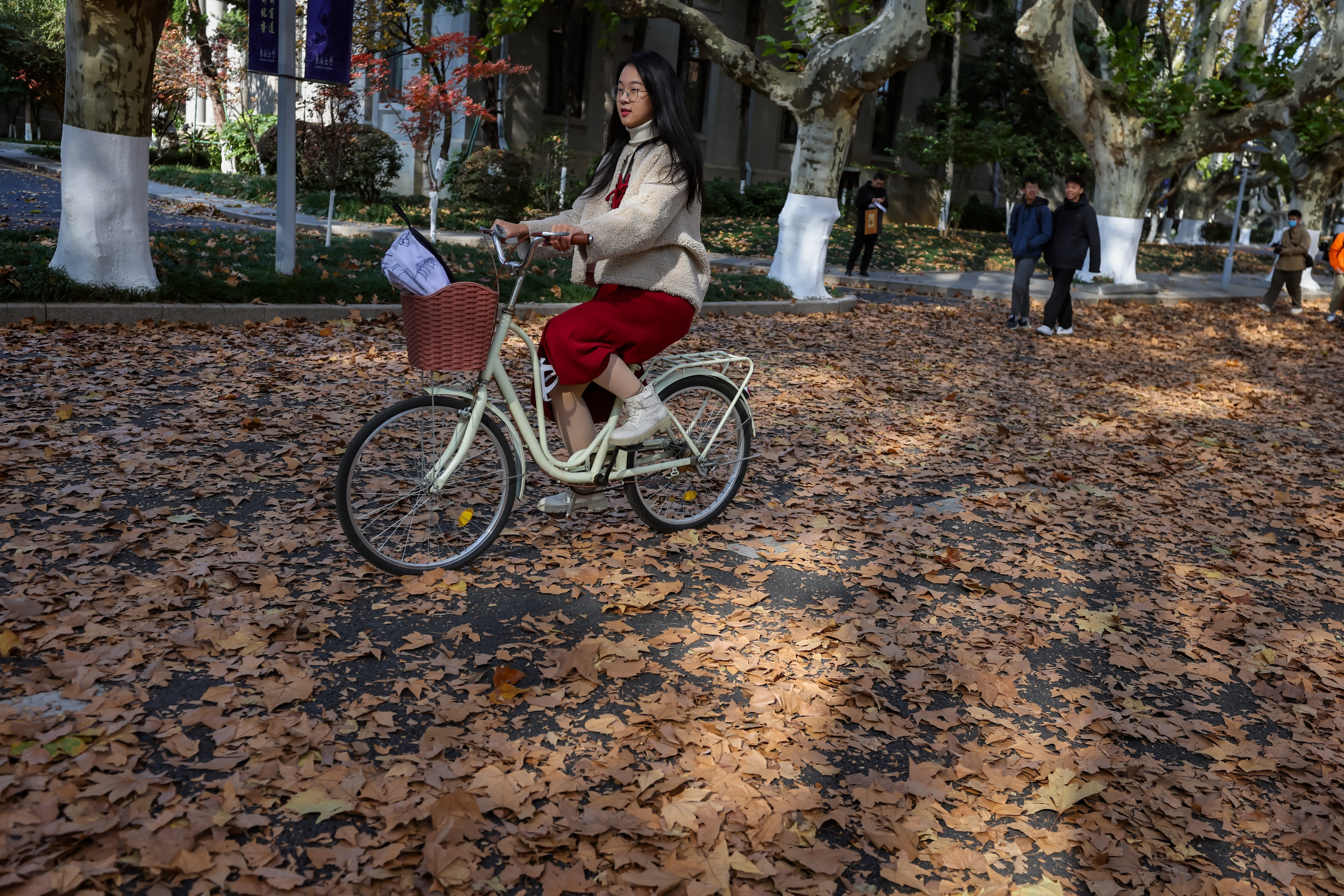 圖為一名女生在鋪滿梧桐樹葉的道路上騎行。（中新社） 