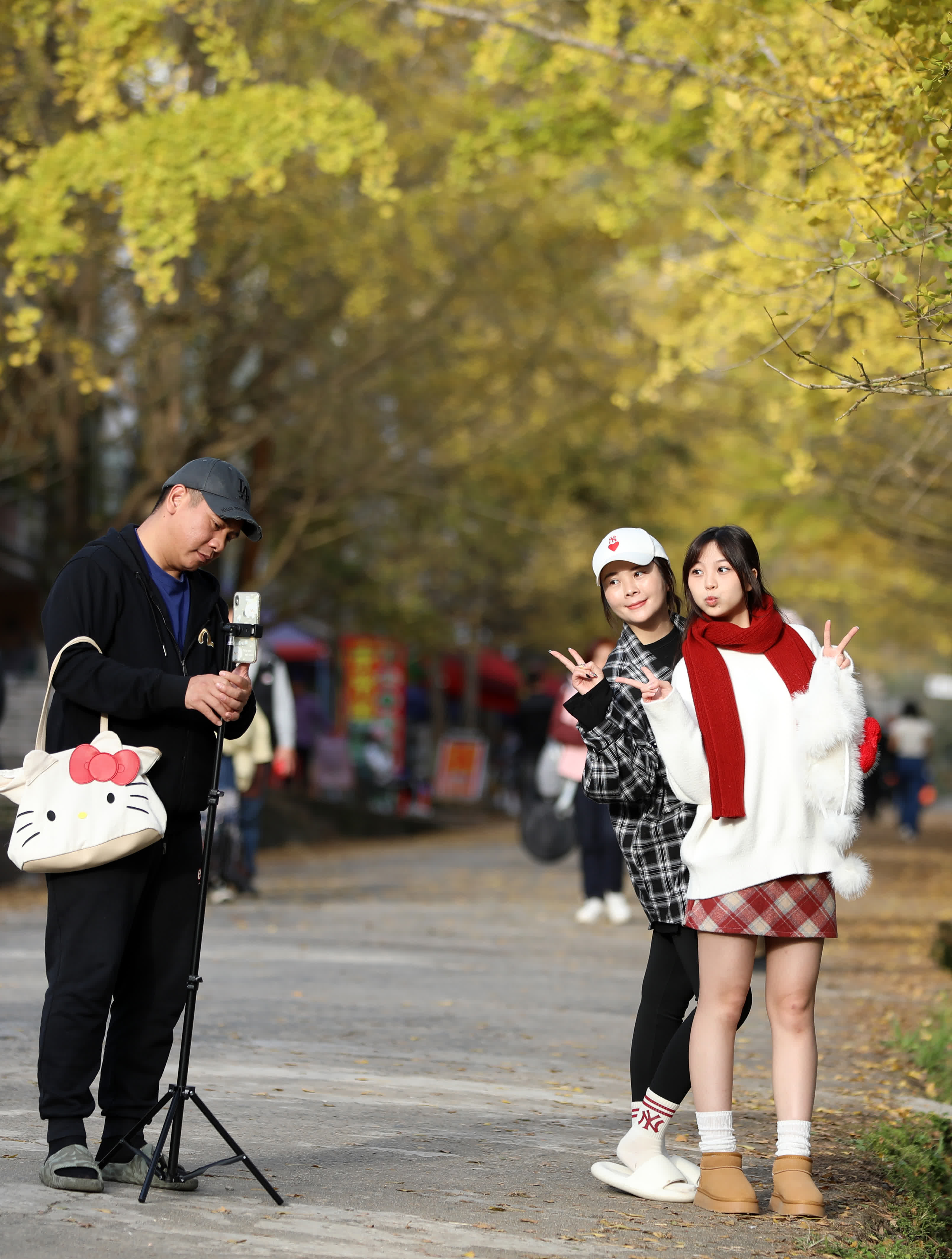 12月6日，遊客在廣東帽子峰旅遊景區的銀杏樹下拍照遊玩。（新華社）