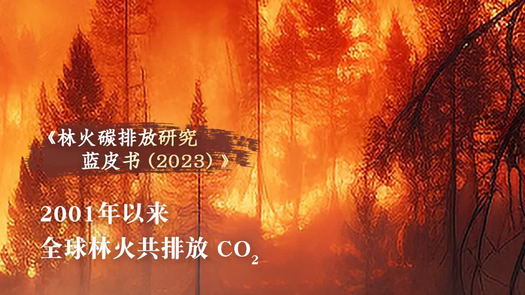 中國科學院研究表明全球林火已成重要碳排放源 呼籲納入全球碳核算體系 - 神州 - 香港文匯網