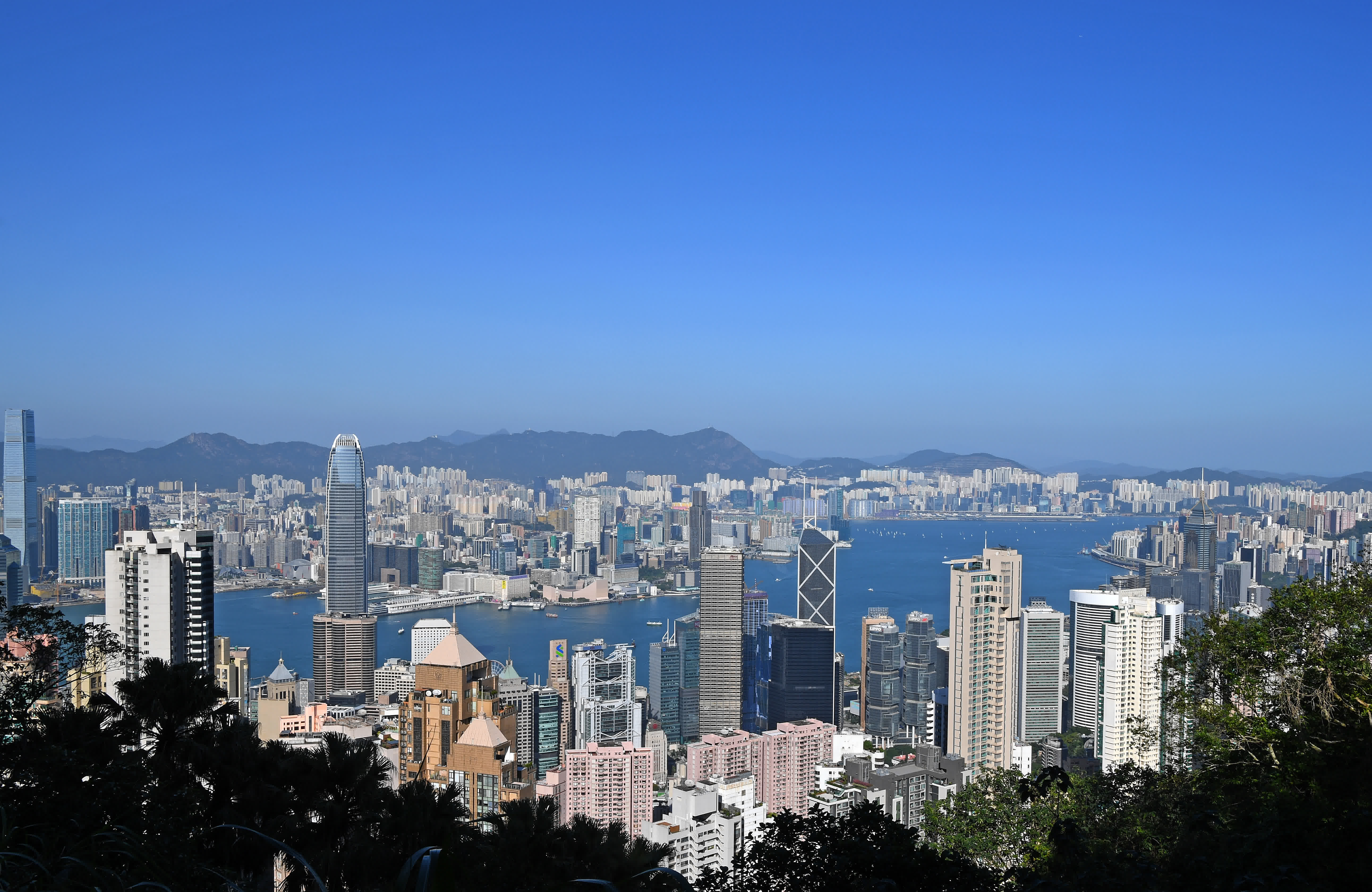 這是2023年11月18日拍攝的香港城市風光。（新華社）
