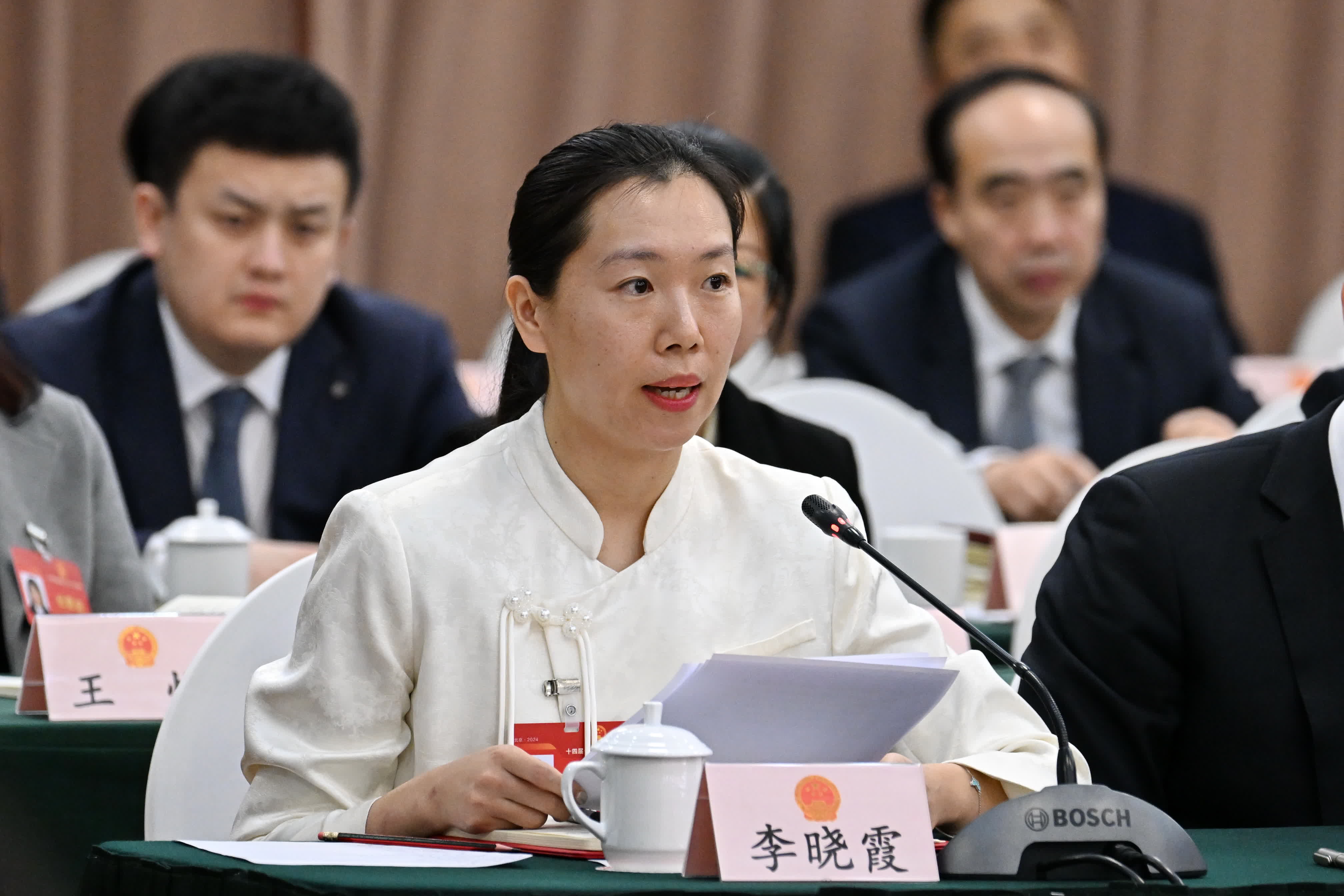 3月6日，李曉霞代表在十四屆全國人大二次會議遼寧代表團全體會議上發言。
