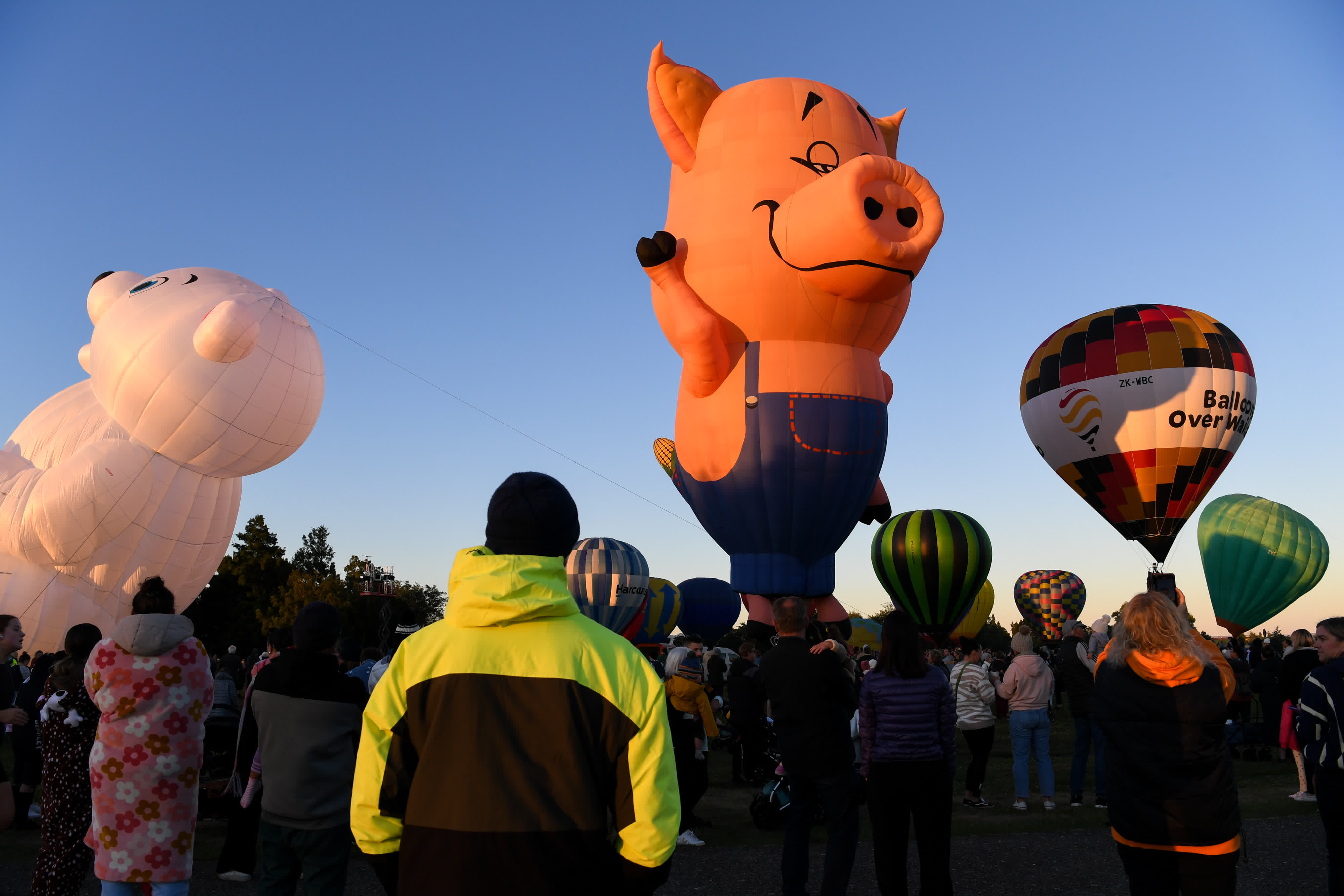 3月20日清晨，在新西蘭漢密爾頓，人們等待熱氣球放飛。（新華社）