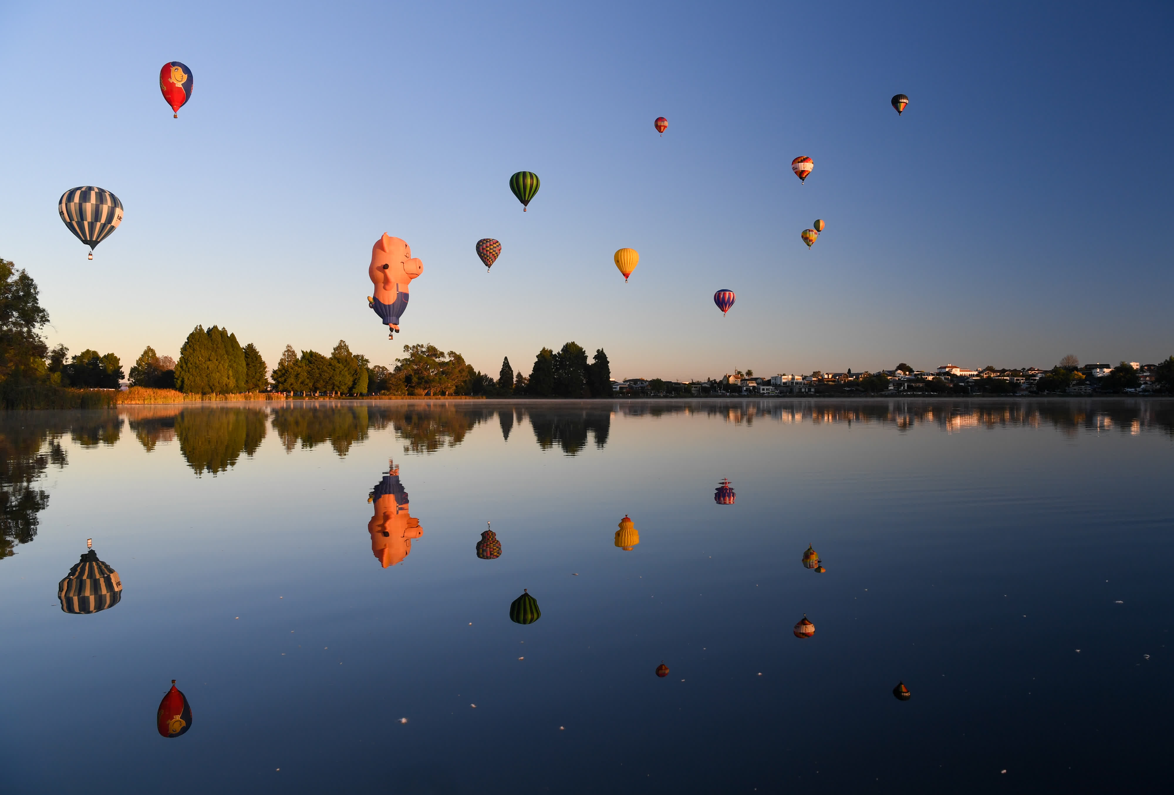 3月20日清晨，放飛的熱氣球經過新西蘭漢密爾頓湖上空。（新華社）
