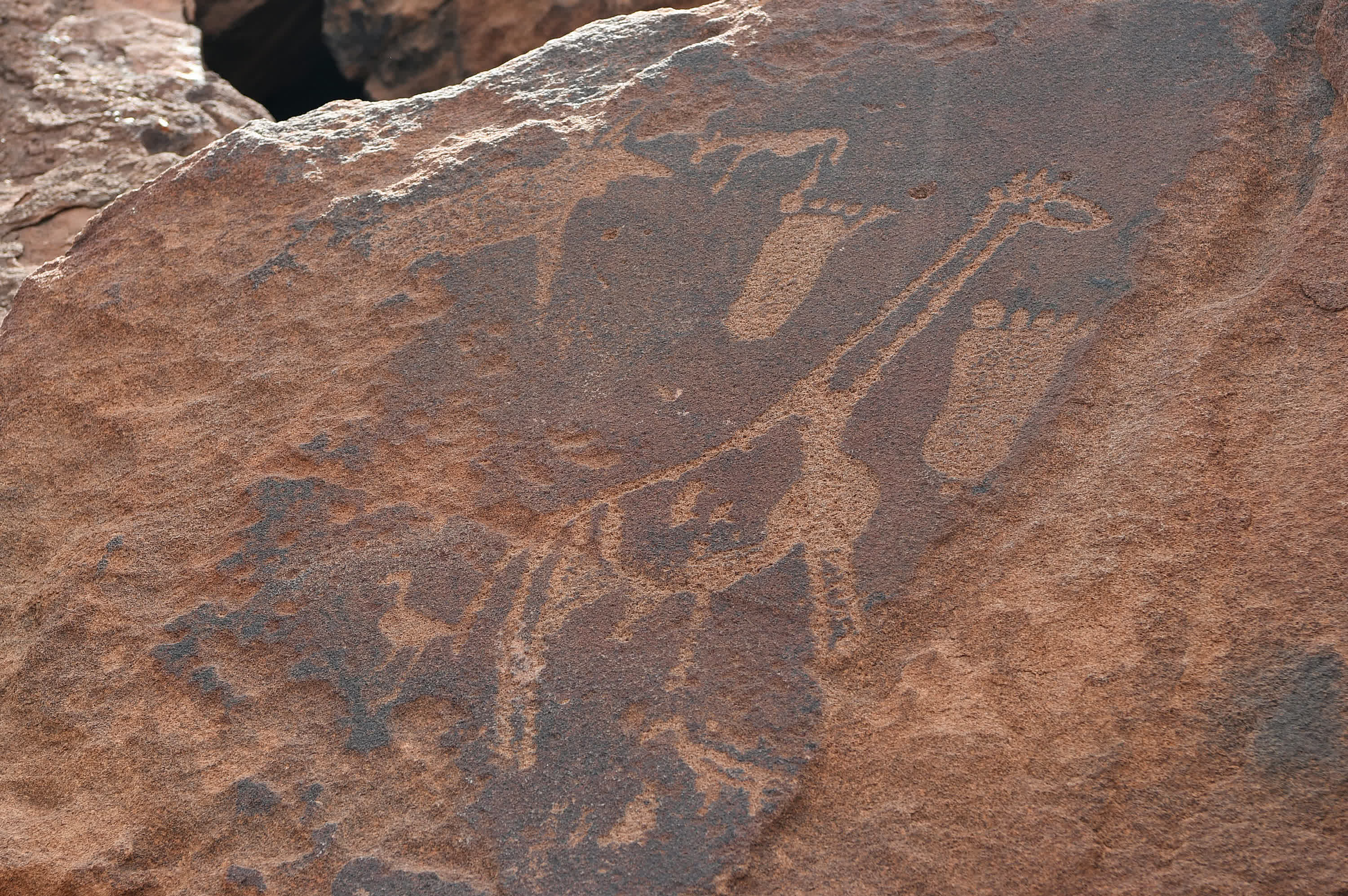 這是3月26日在納米比亞庫內內省拍攝的頹廢方丹岩畫。新華社
