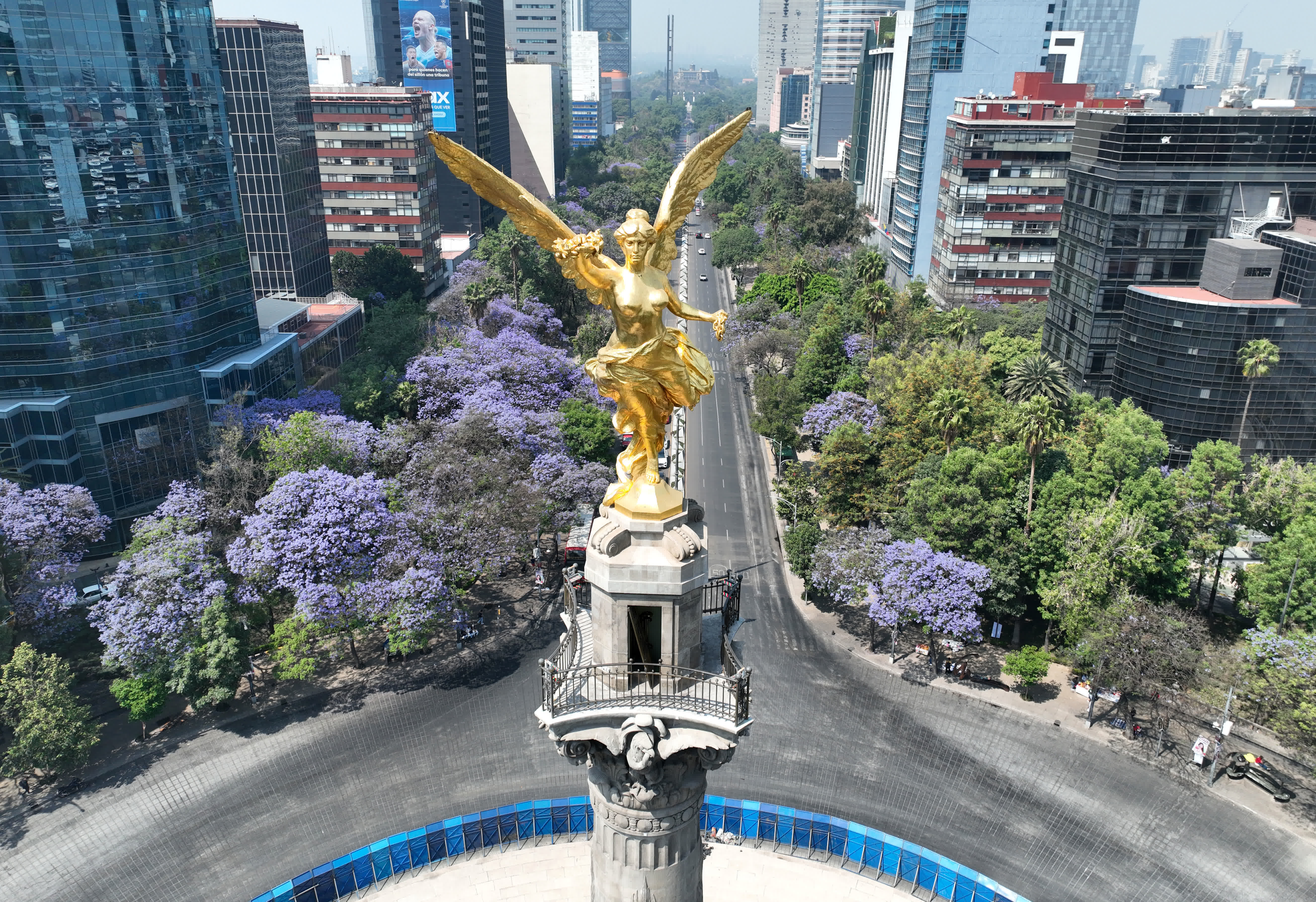這是3月28日在墨西哥首都墨西哥城拍攝的獨立天使紀念碑和藍花楹（無人機照片）。
