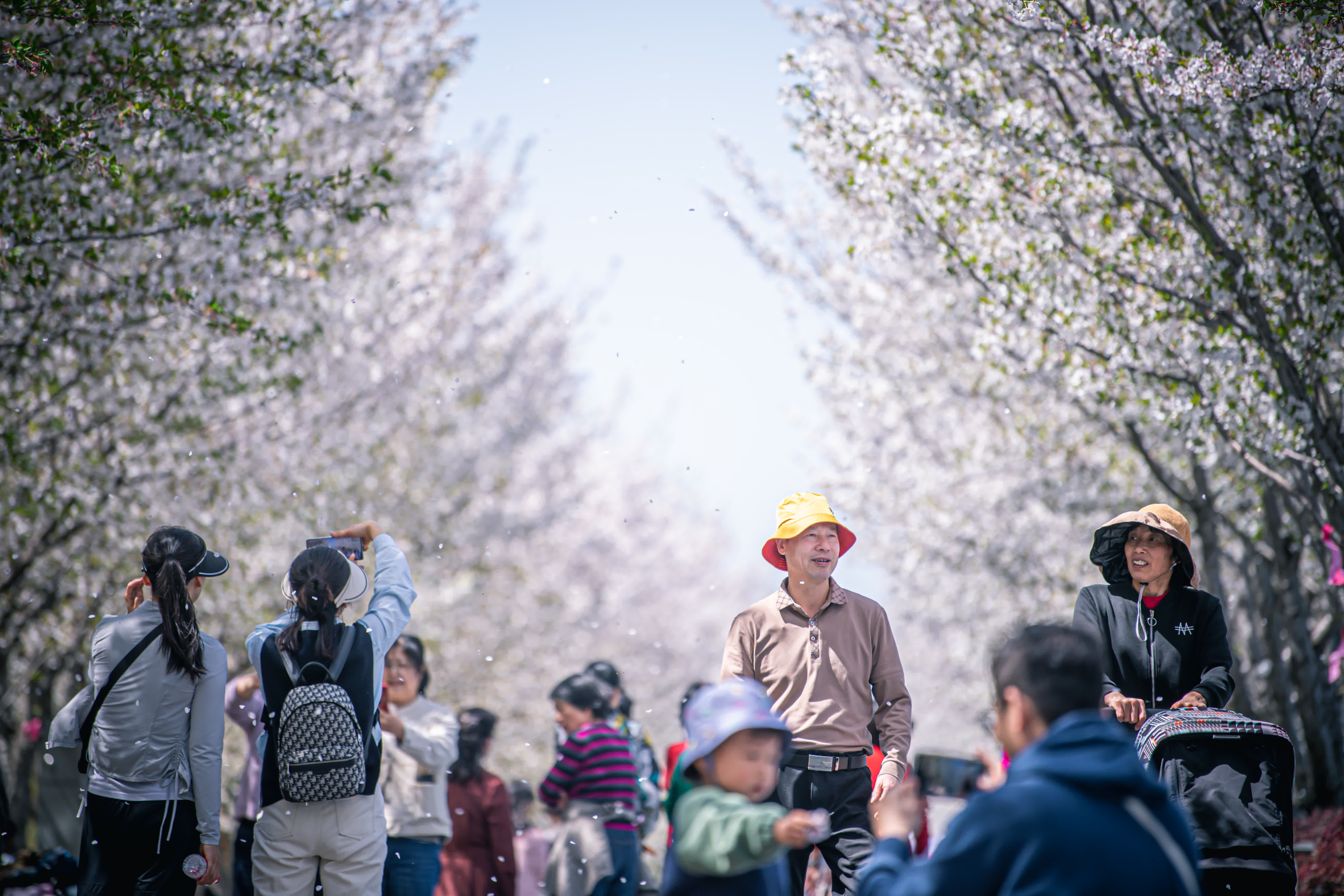 3月29日，市民在杭州市濱江區沿江綠道「櫻花跑道」上賞花遊玩。（新華社）