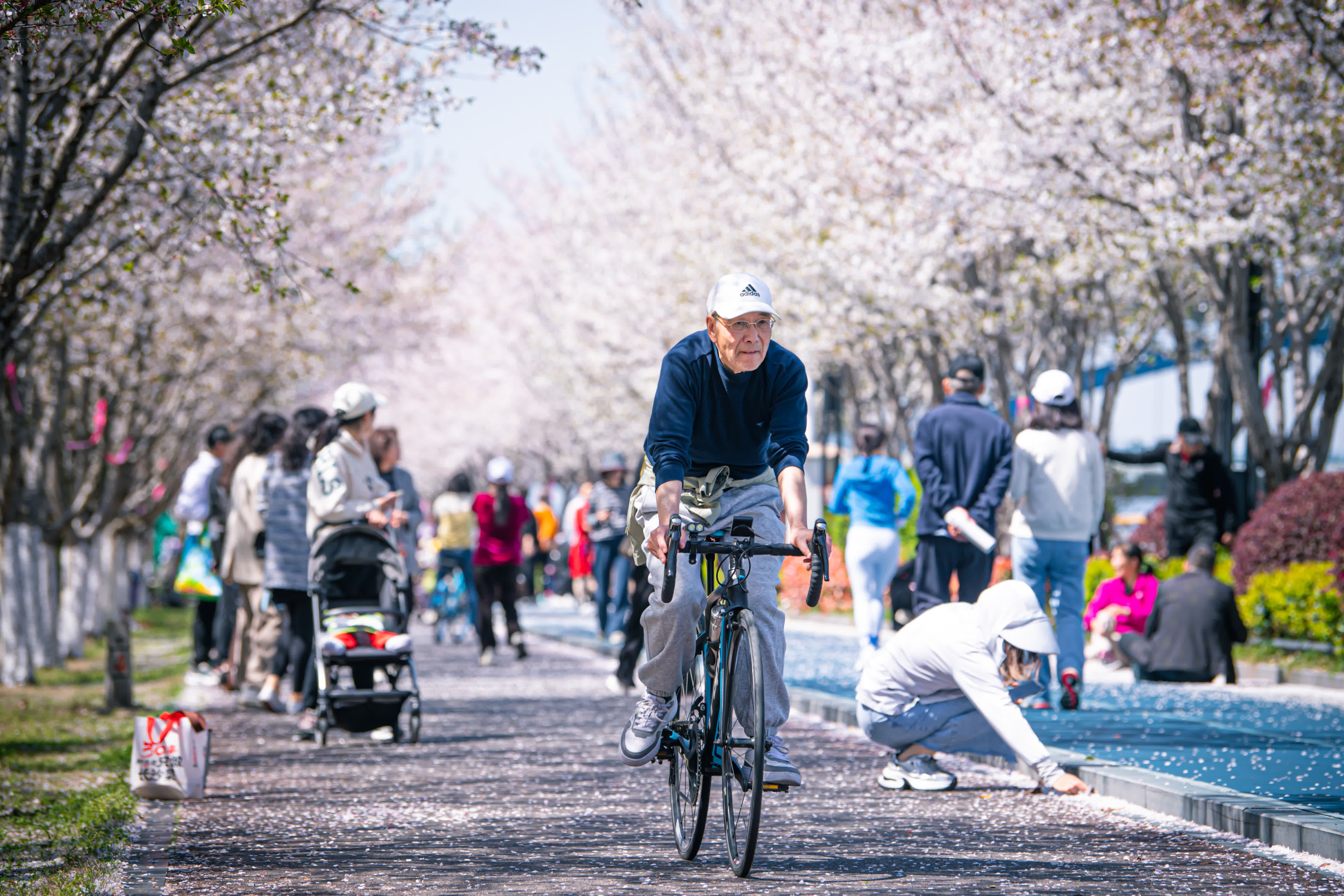 3月29日，市民在杭州市濱江區沿江綠道「櫻花跑道」上騎行鍛鍊。（新華社）