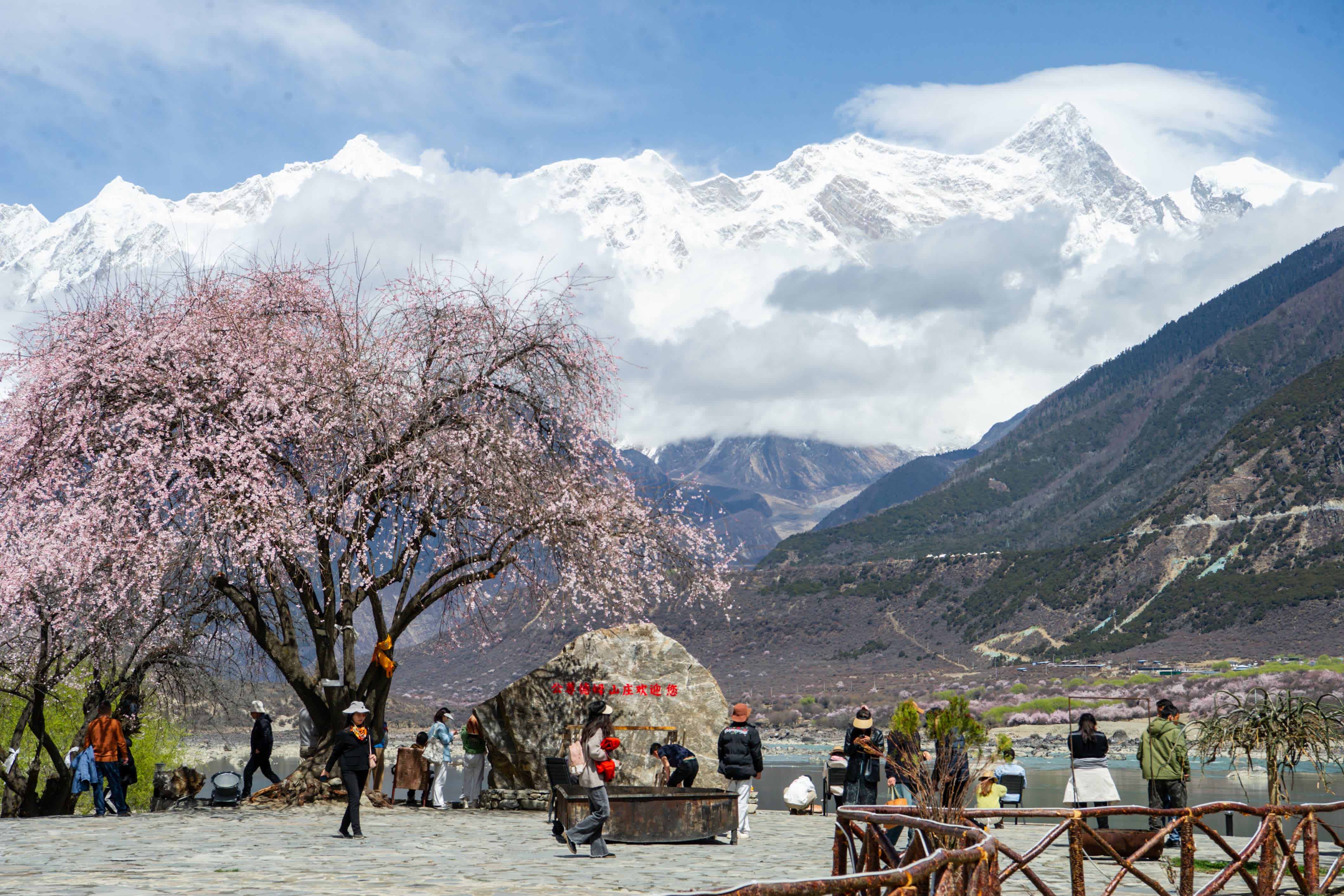 遊客在桃花樹下觀賞南迦巴瓦峰美景。（中新社）