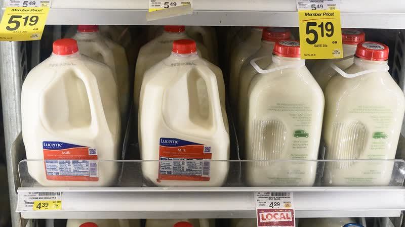 美國零售牛奶中發現高致病性禽流感病毒　FDA：滅菌法或難消除 但仍可安全飲用