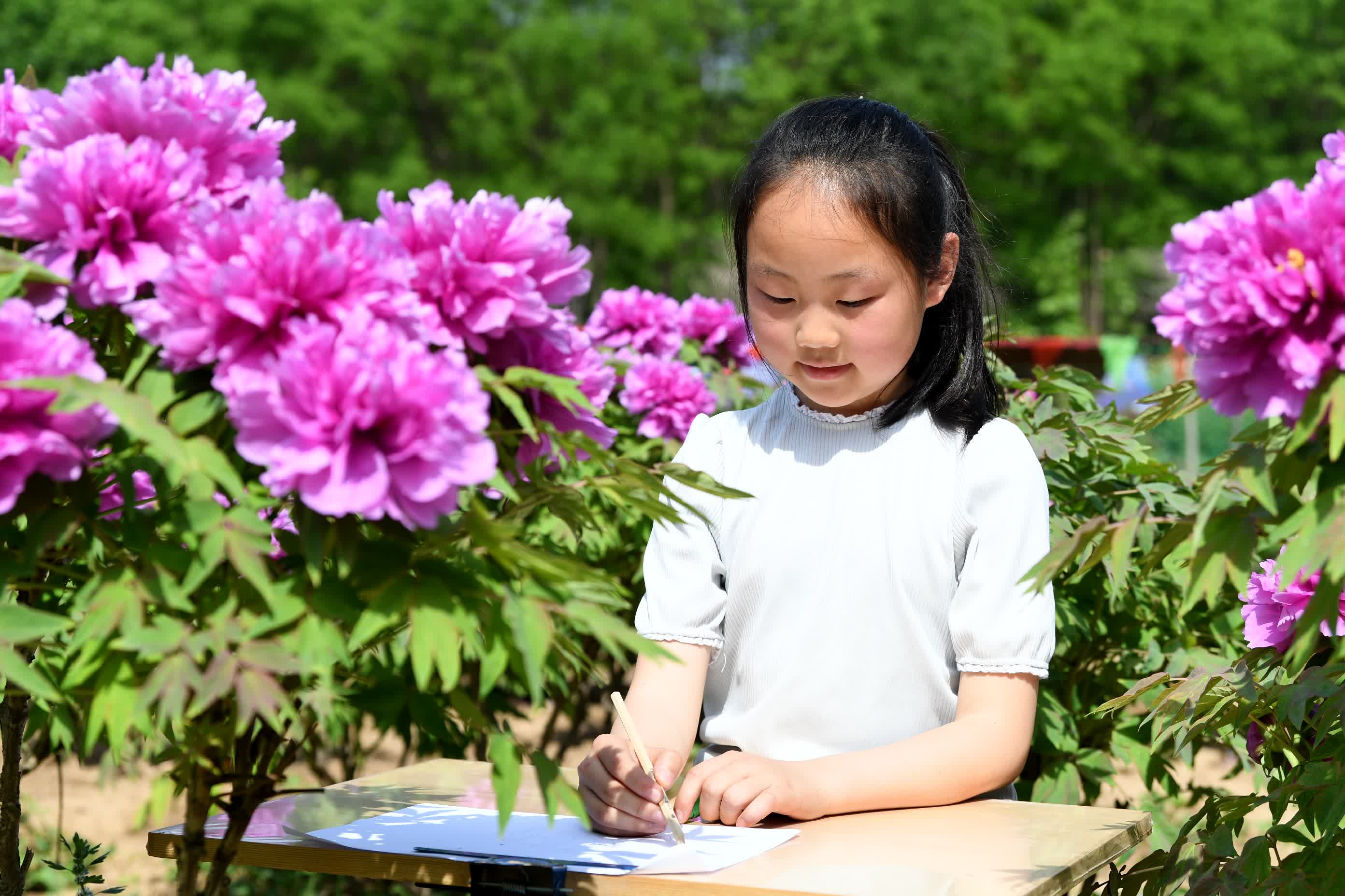 4月26日，小朋友在阜城縣牡丹觀光園內寫生。（新華社）