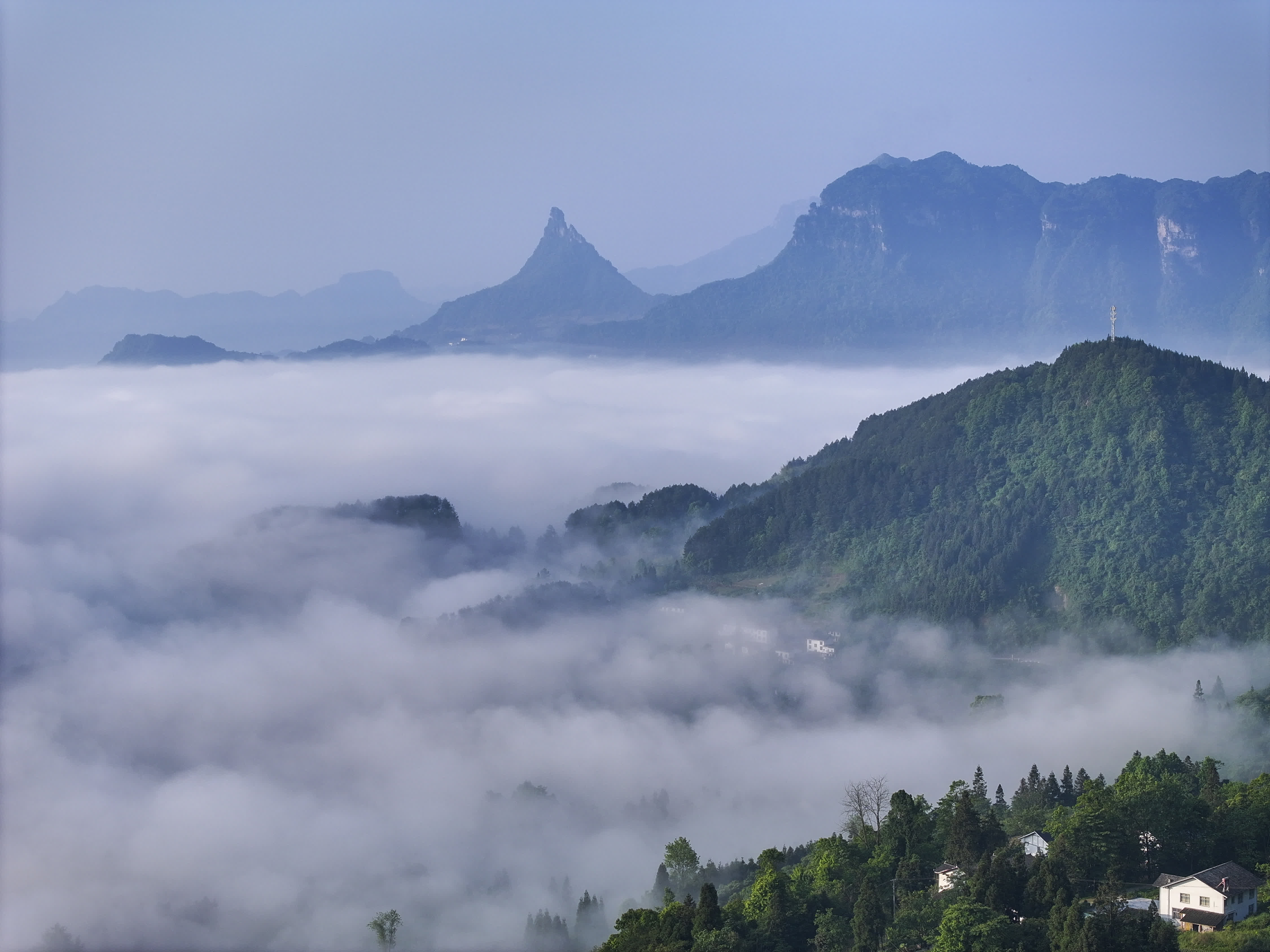 5月23日拍攝的金佛山雲海景觀（無人機照片）。（新華社）