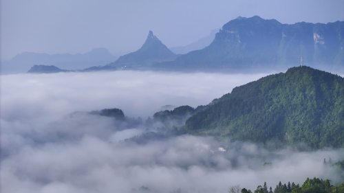 重慶金佛山：雲繞山巒
