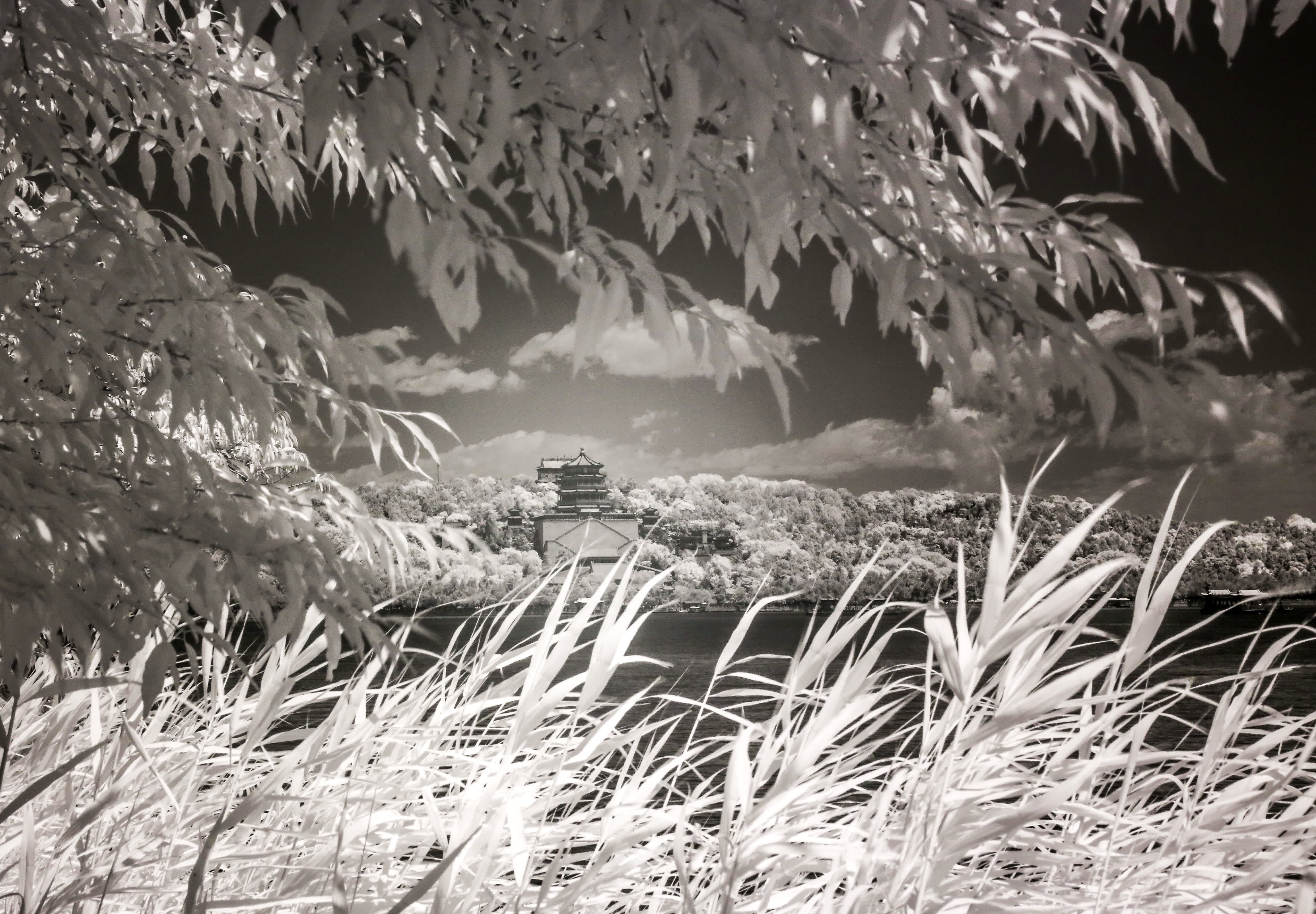 這是紅外攝影記錄的頤和園佛香閣景色（6月14日攝）。（新華社）