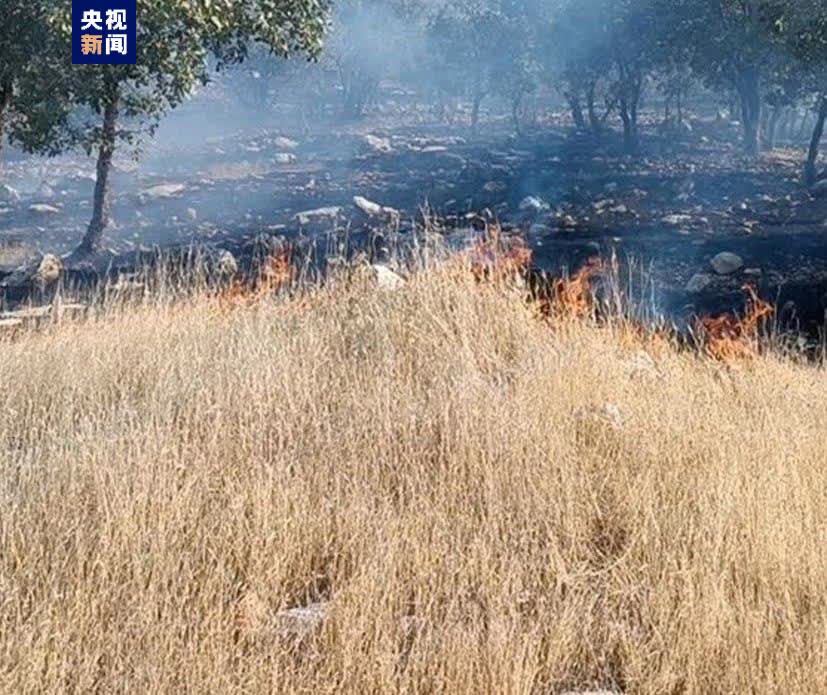 伊朗一森林地區山火持續　暫無人員傷亡報告