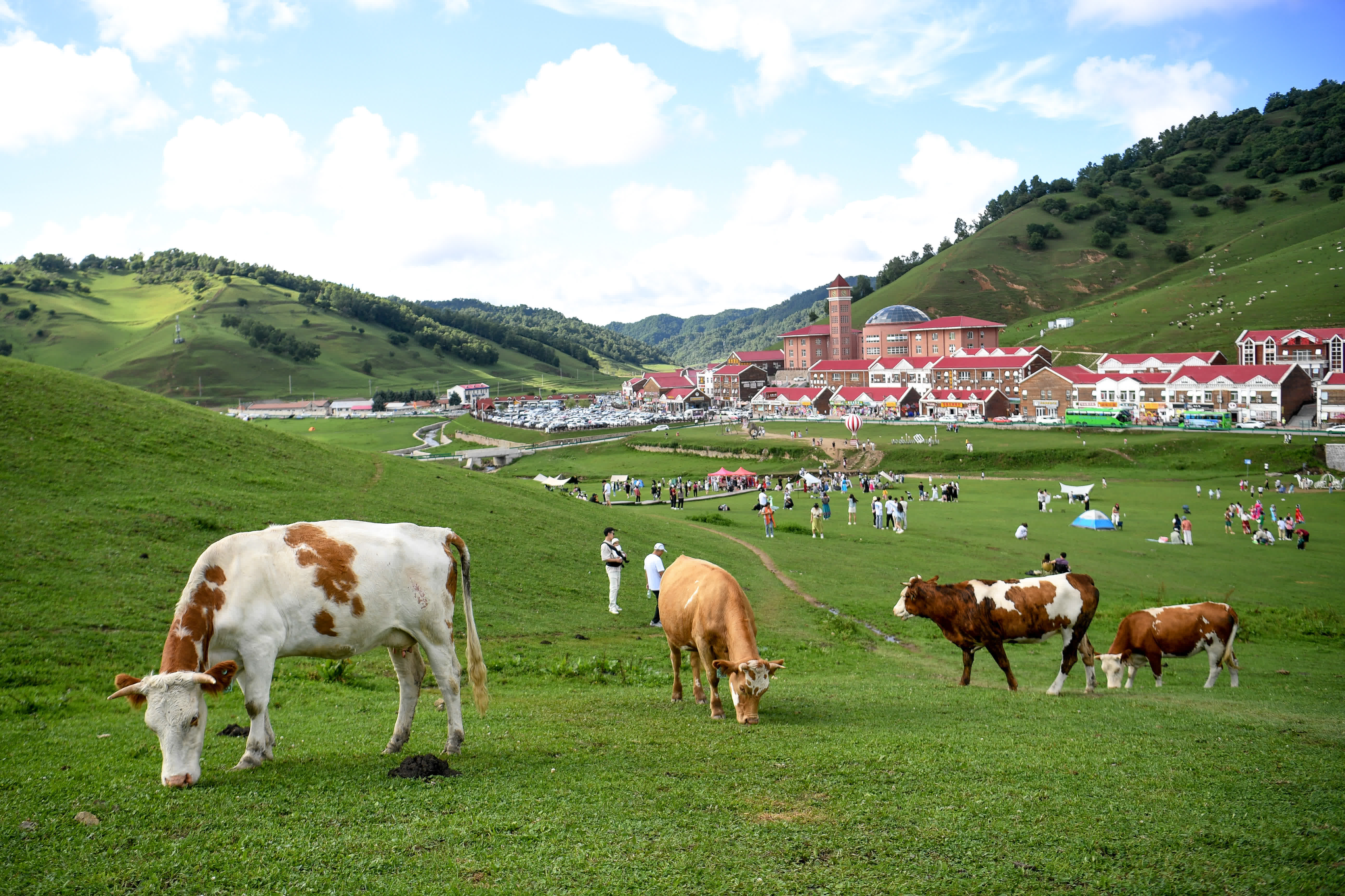 8月3日，遊客在關(guān)山草原景區(qū)遊玩。（新華社）