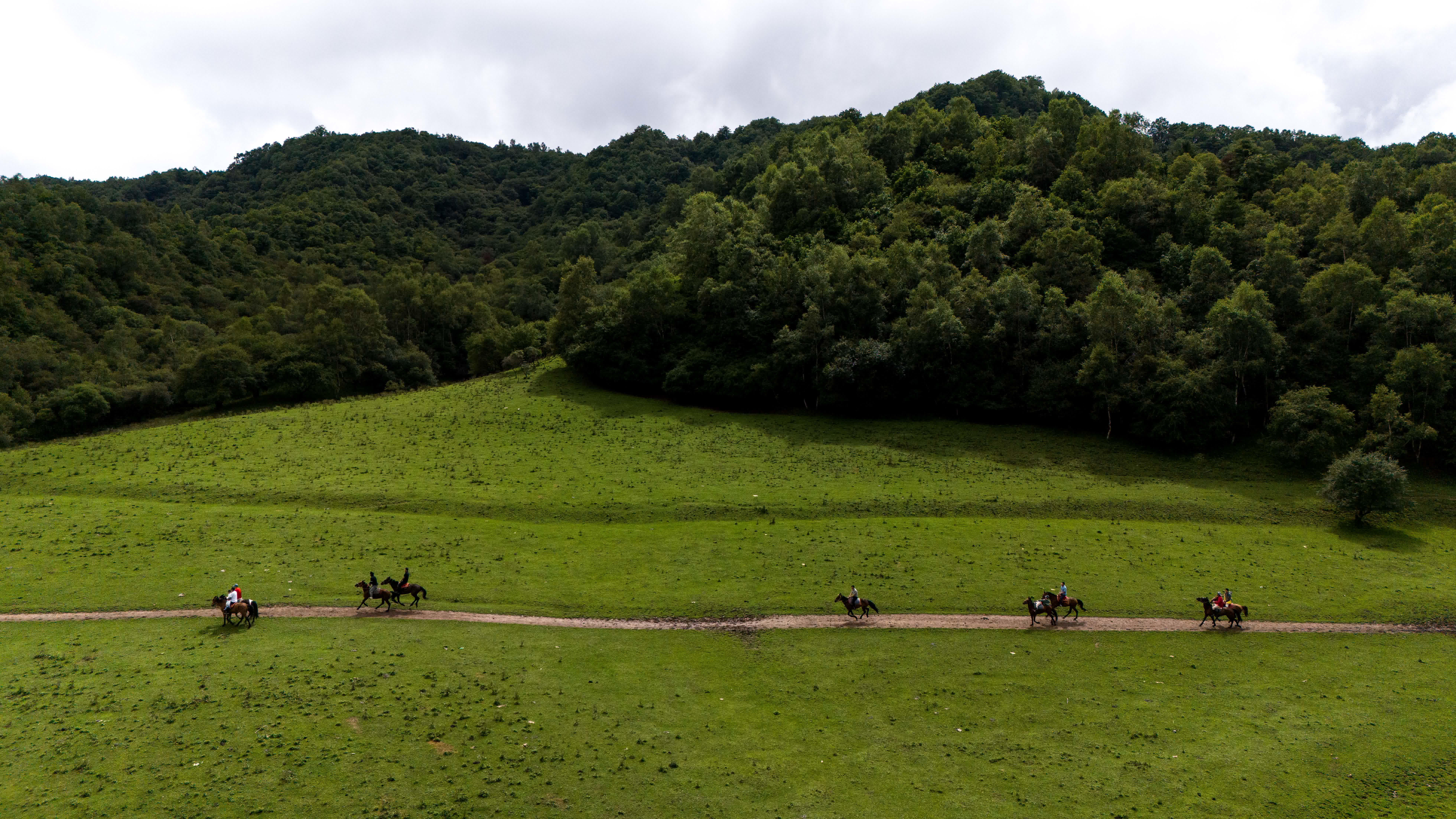 8月3日，遊客在關(guān)山草原景區(qū)的一處馬場騎馬（無人機(jī)照片）。（新華社）