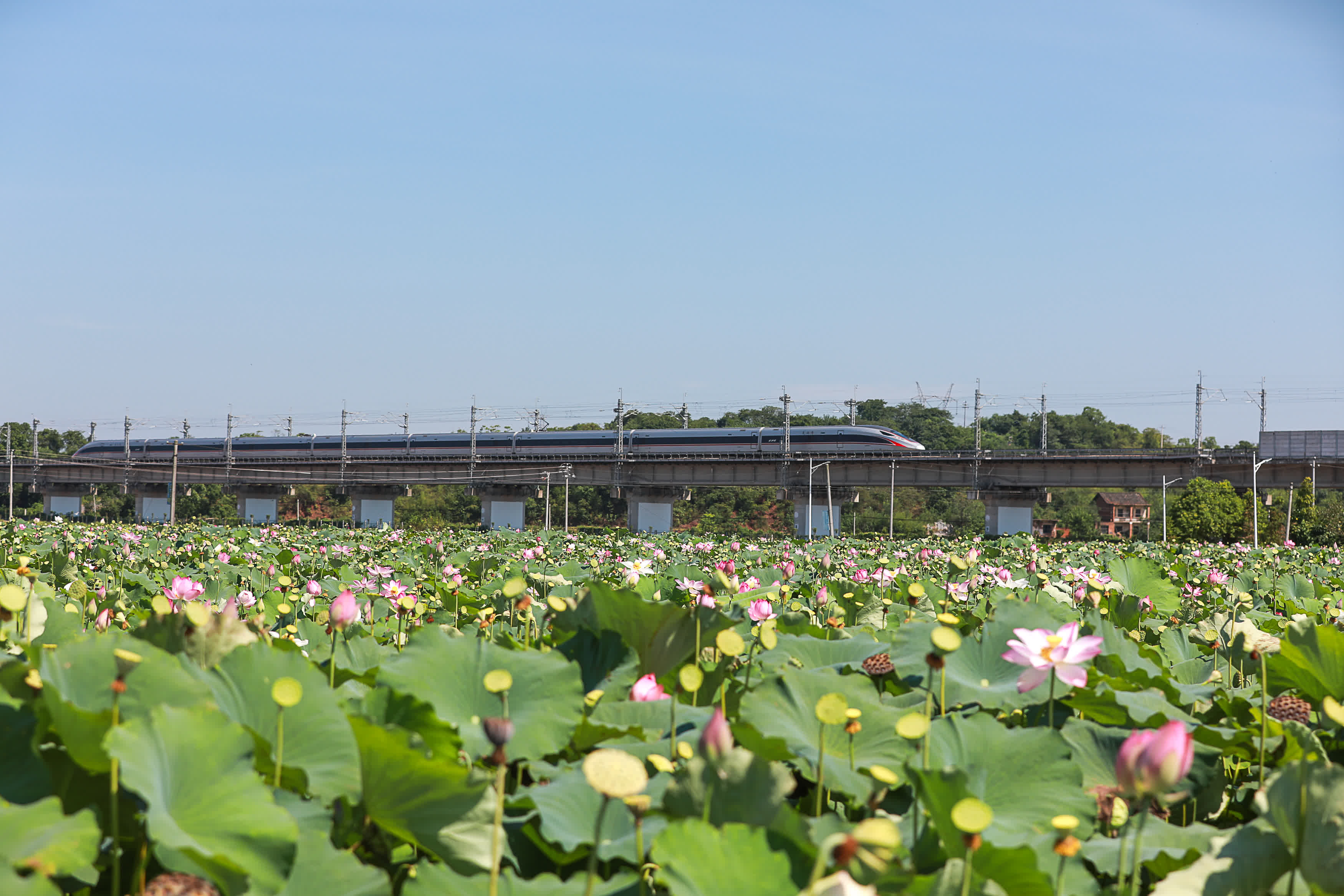  8月5日，一列動車駛過湖南省衡陽市衡陽縣臺源鎮九市村。（新華社）