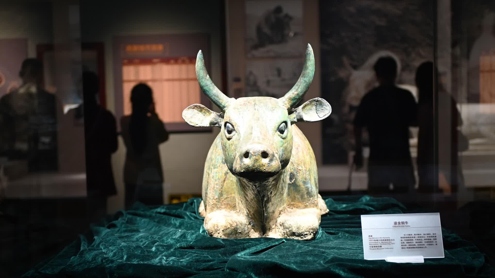 看文物啦！鎏金銅牛、石馬就在寧夏博物館！ - 神州- 香港文匯網