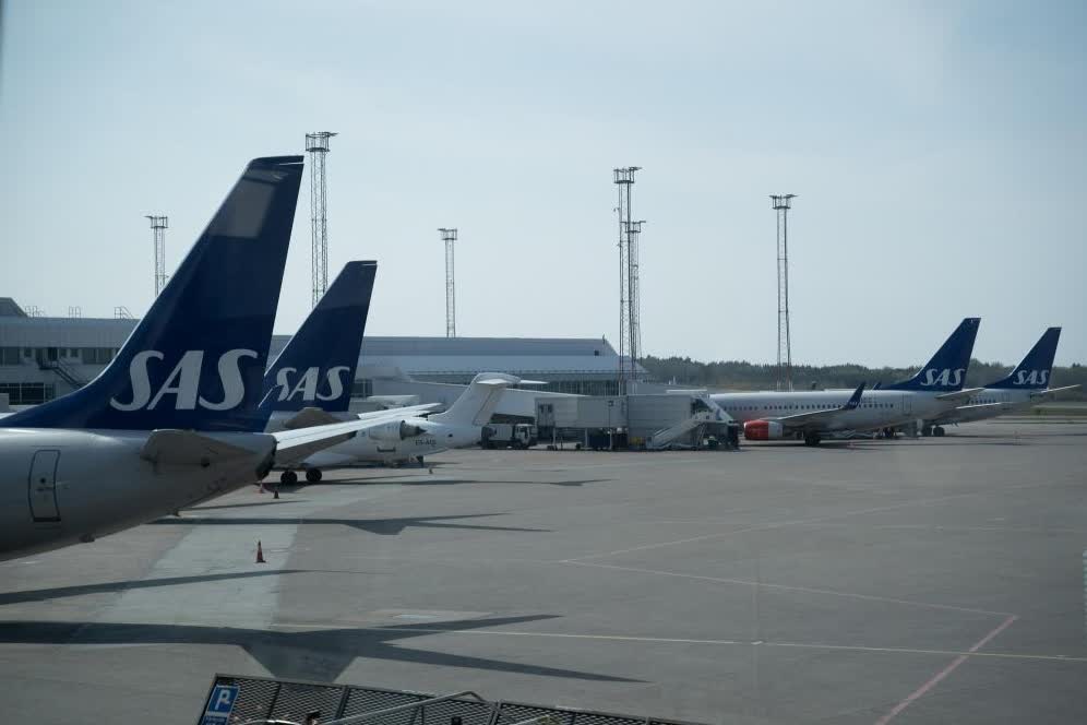 北歐航空一航班餐食中出現活老鼠　飛機備降其他機場