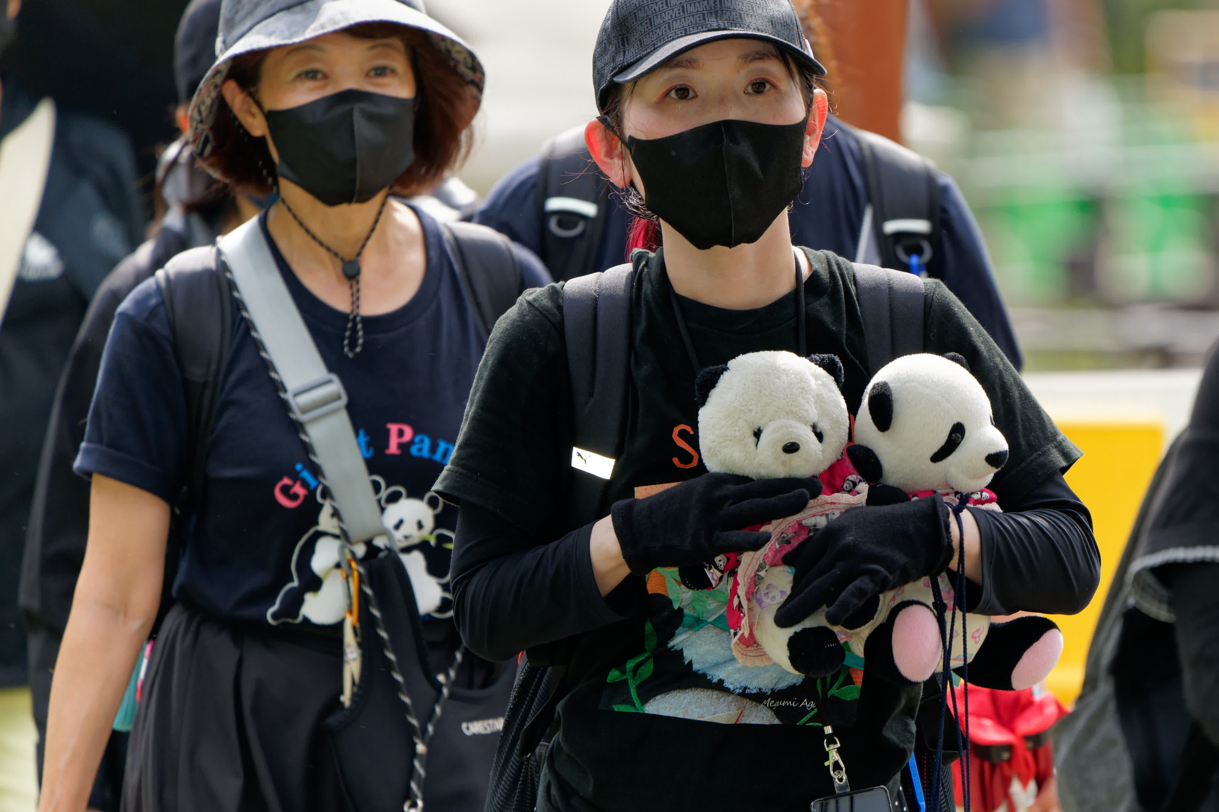 9月28日，參觀者攜帶熊貓周邊來日本東京上野動物園告別大熊貓「比力」和「仙女」。新華社發(fā)（東京動物園協(xié)會供圖）