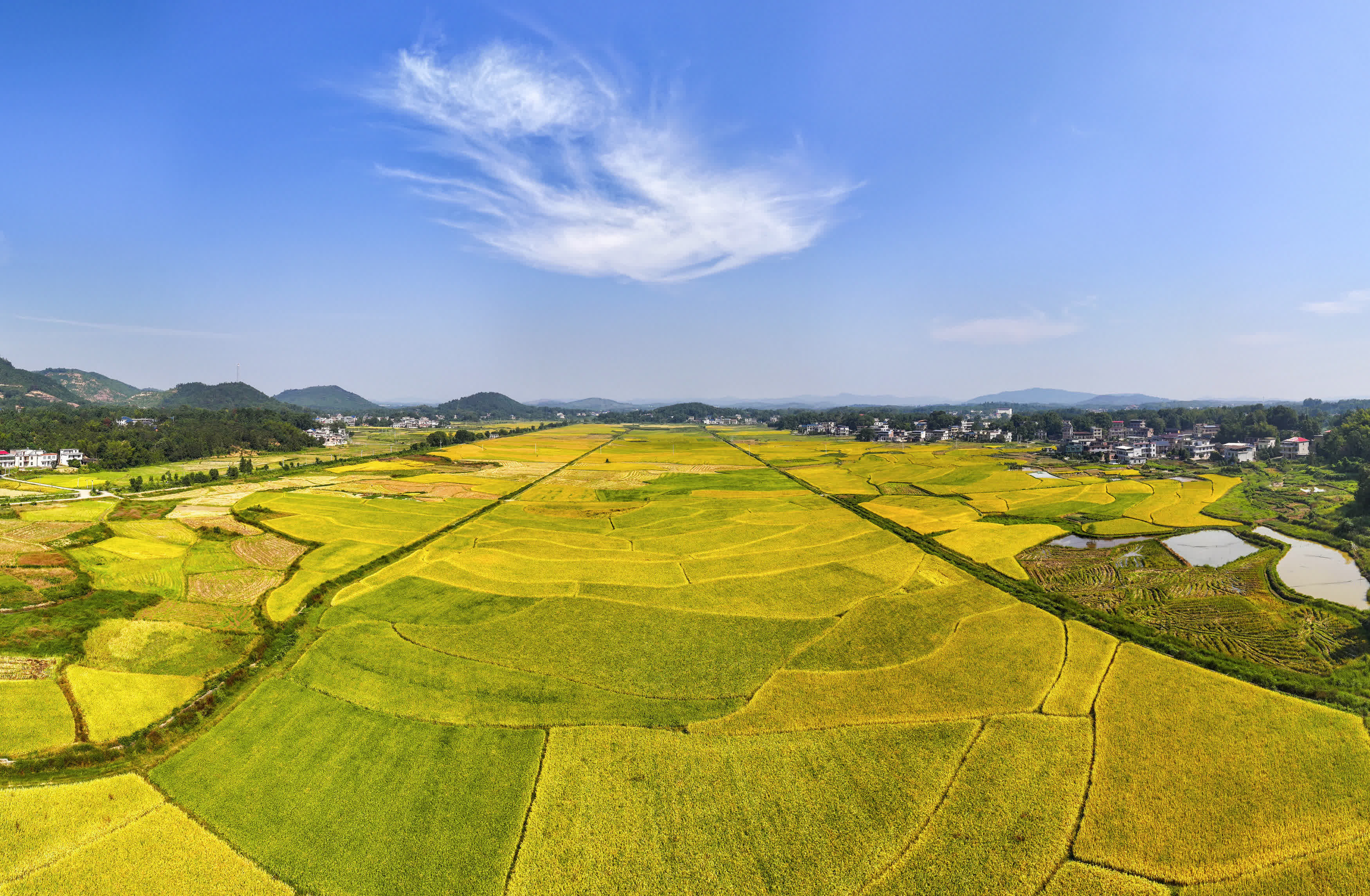 10月6日拍攝的湖南省常寧市官嶺鎮鵝院村田園風光（無人機照片）。（新華社）