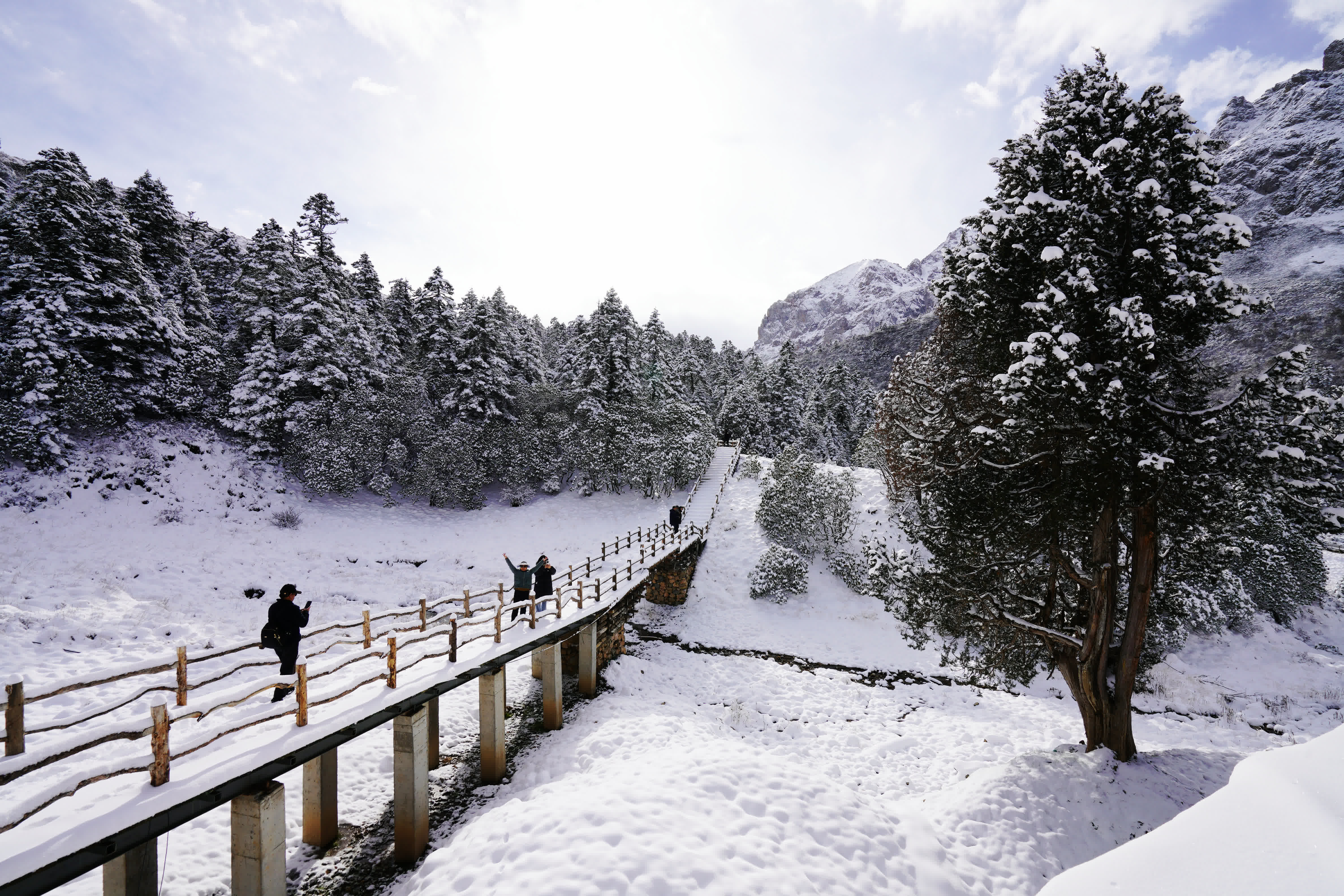 這是10月27日拍攝的官鵝溝森林公園雪景。新華社