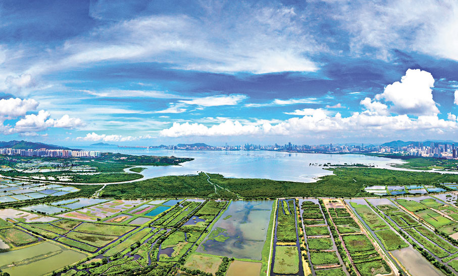 北都區設三寶樹濕地保育公園 較濕地公園大五倍 - 香港 - 香港文匯網