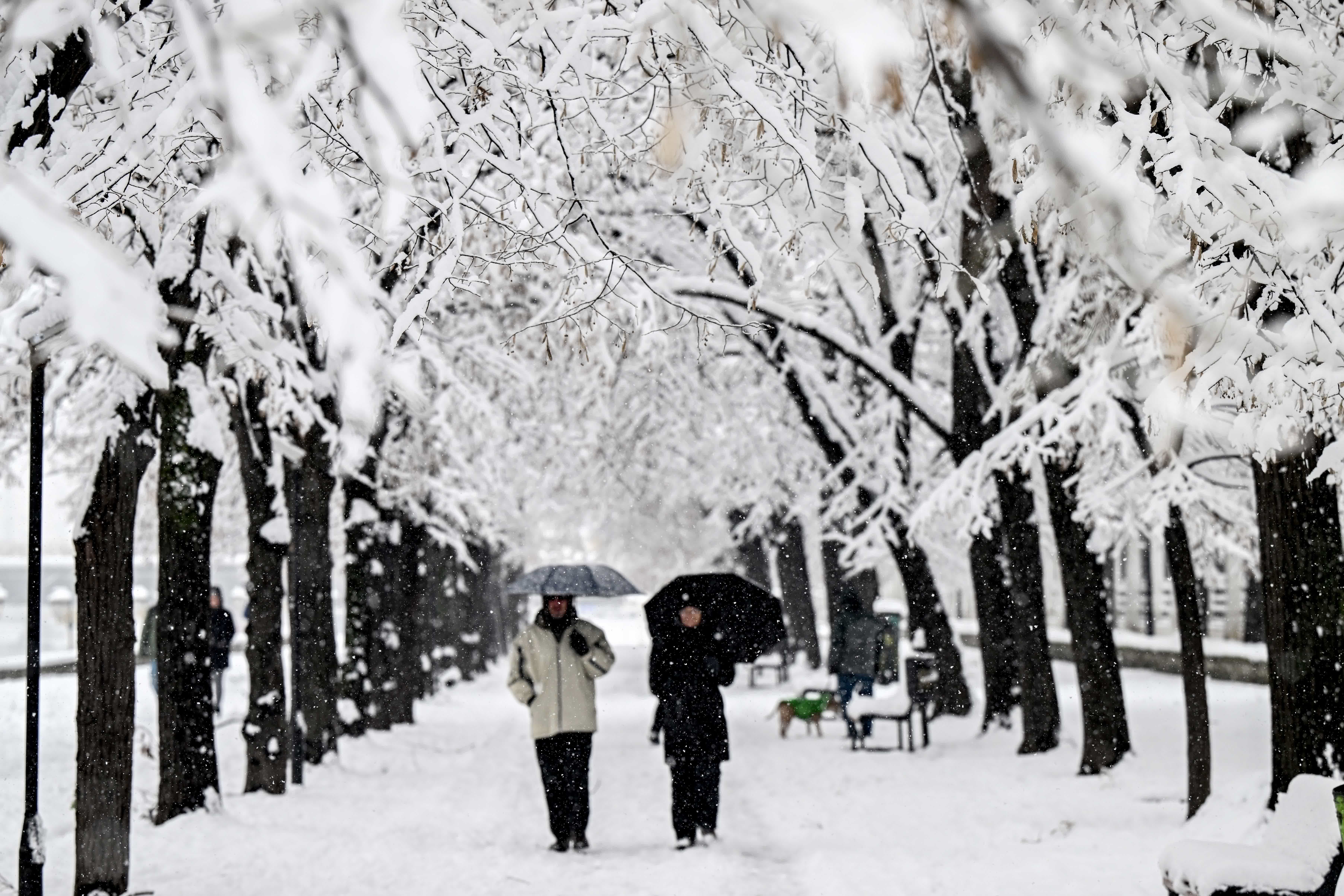 1月12日，在北馬其頓首都斯科普里的城市公園，人們欣賞雪景。新華社