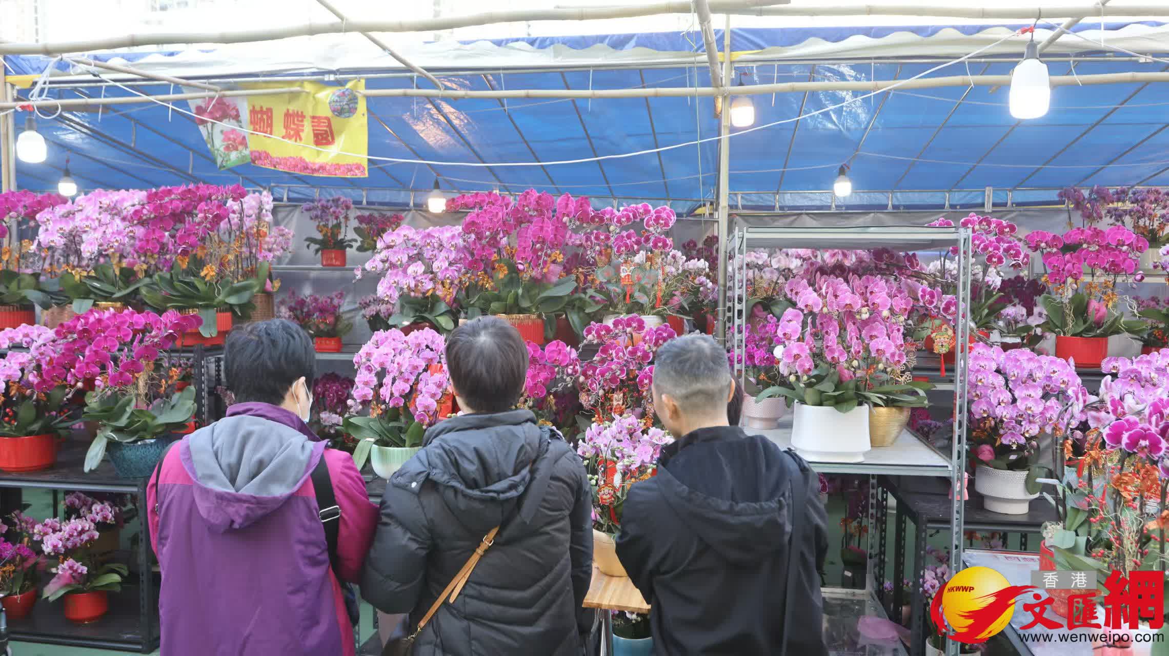 深水埗長沙灣遊樂場年宵市場重開情況。(香港文匯報記者黃艾力 攝) 深水埗長沙灣遊樂場年宵市場重開情況。(香港文匯報記者黃艾力 攝)