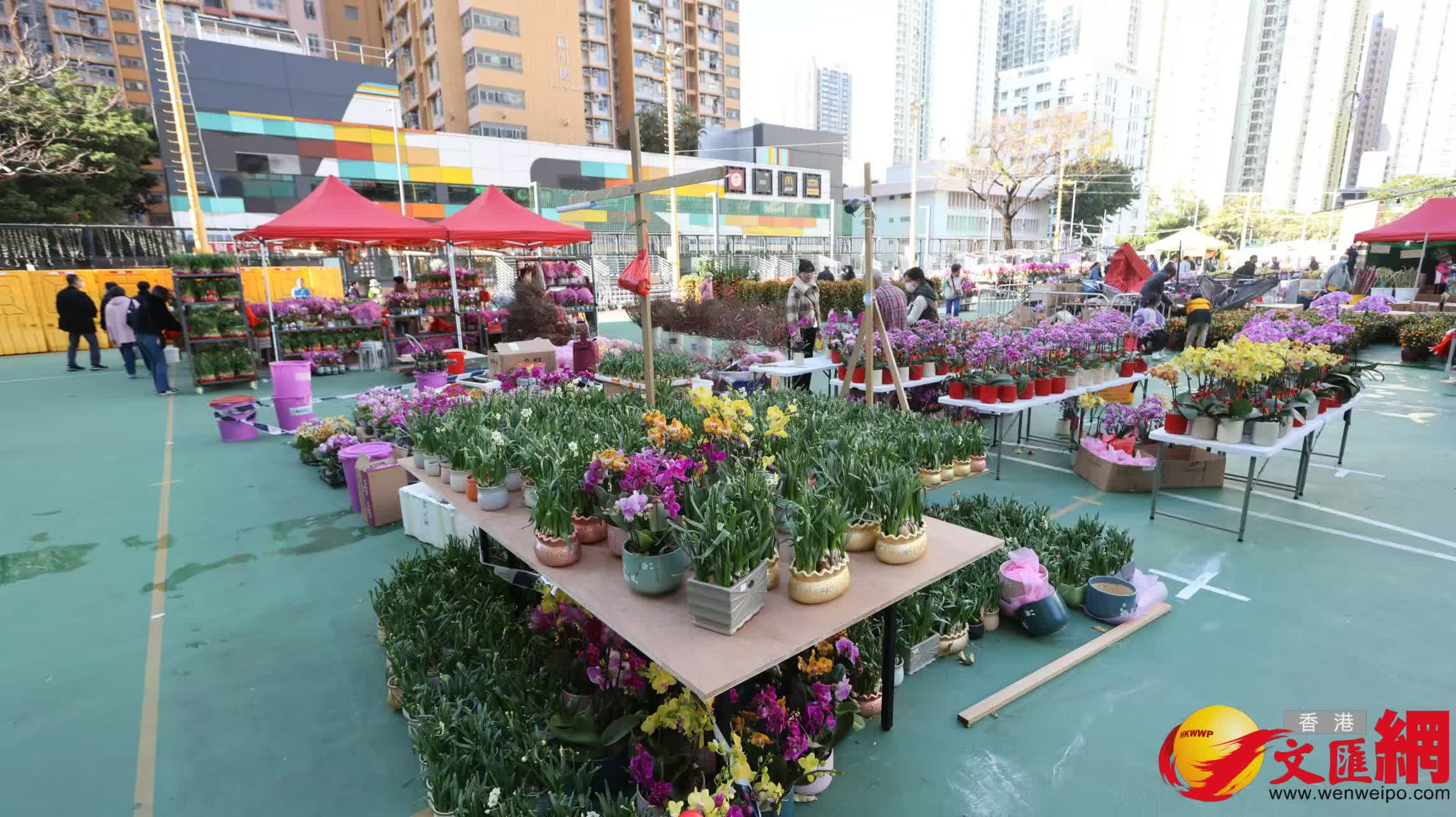 深水埗長沙灣遊樂場年宵市場重開情況。(香港文匯報記者黃艾力 攝) 深水埗長沙灣遊樂場年宵市場重開情況。(香港文匯報記者黃艾力 攝)