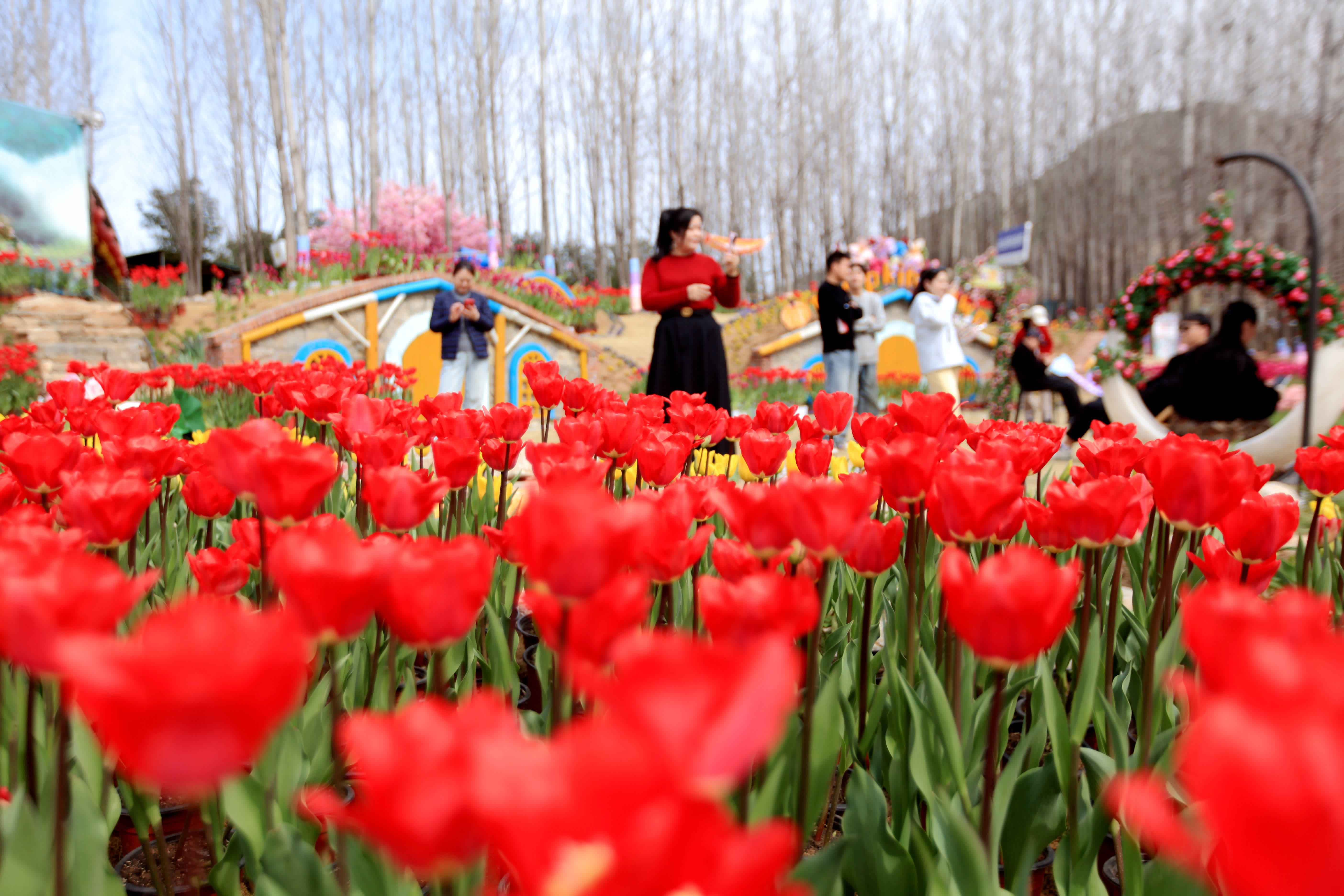 3月13日，遊客在山東省臨沂市費(fèi)縣利山澗景區(qū)賞花遊玩。（新華社）