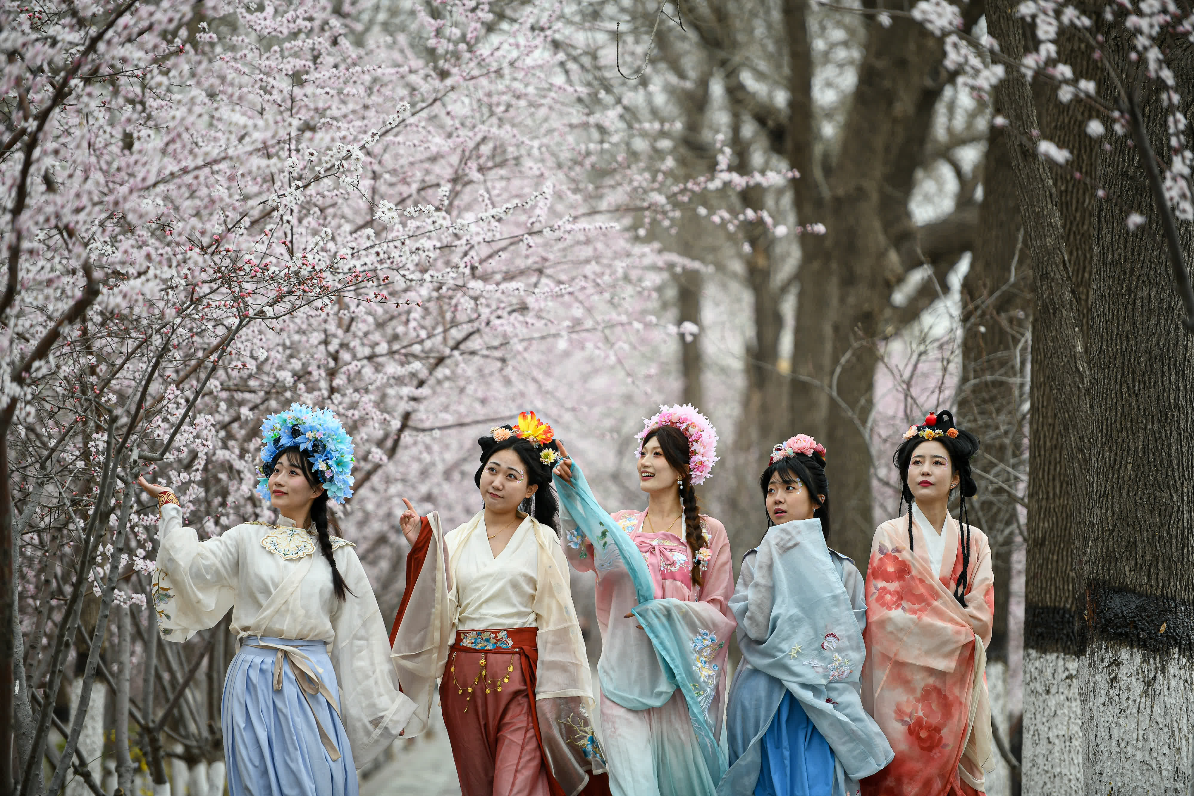 3月14日，天津桃花堤，幾名女孩身著中國(guó)傳統(tǒng)服飾漫步賞花。（中新社）