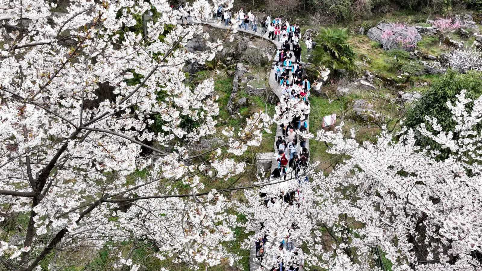 春天到山裏去研學