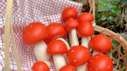 路邊的野菇不要採 六旬婦中毒嘔吐腹瀉入院