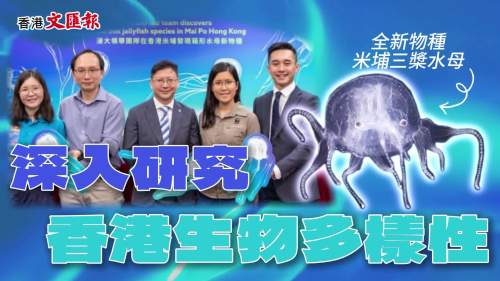 (有片)【生態科研探索 之 初見珊蹤】生涯發現逾30種新物種  浸大學者細說本港水母故事