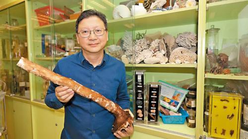 （有片）浸大海洋專家析基因書寫水中生命奇妙故事